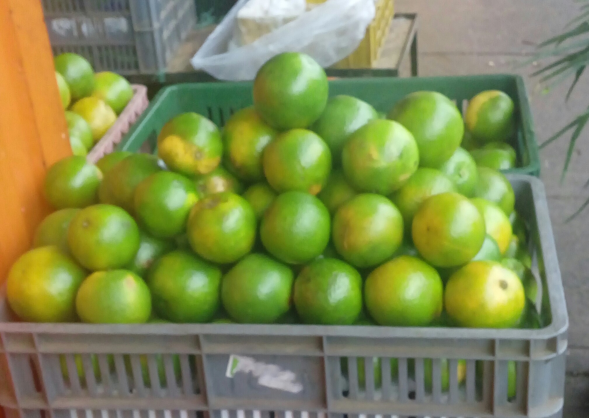 Narajas