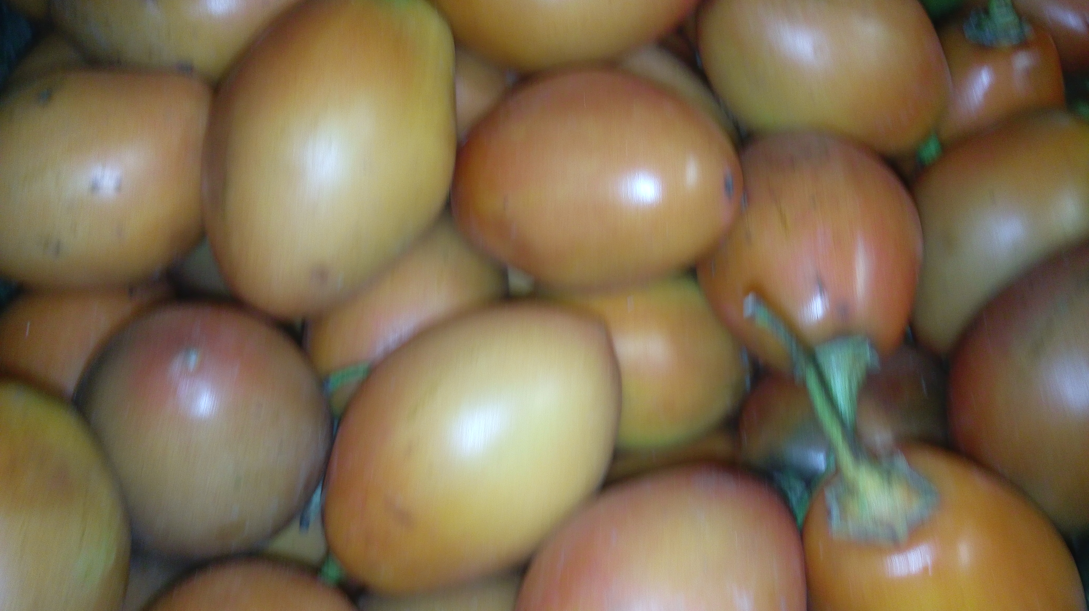 Tomate de arbol