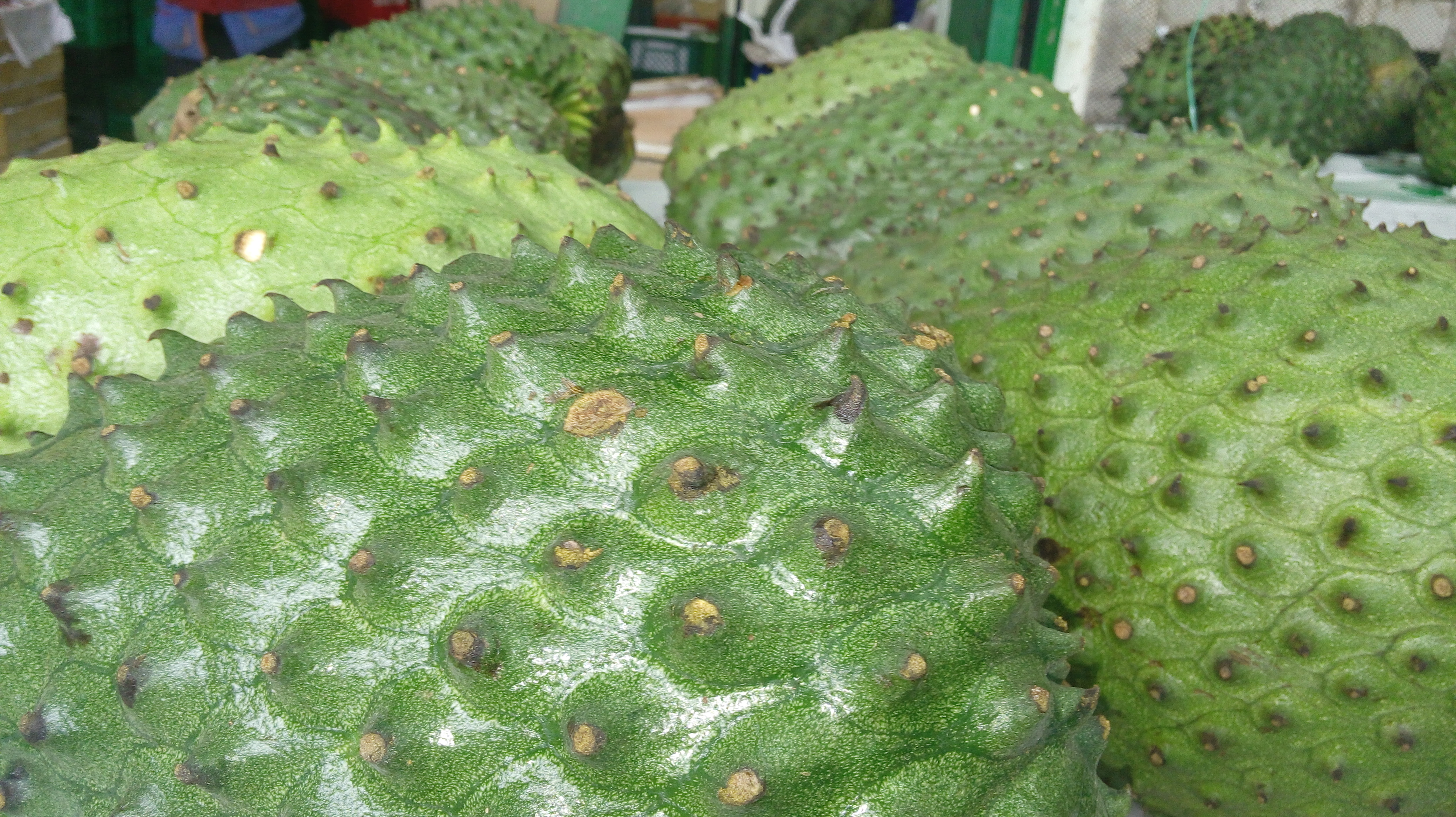 Guanabana