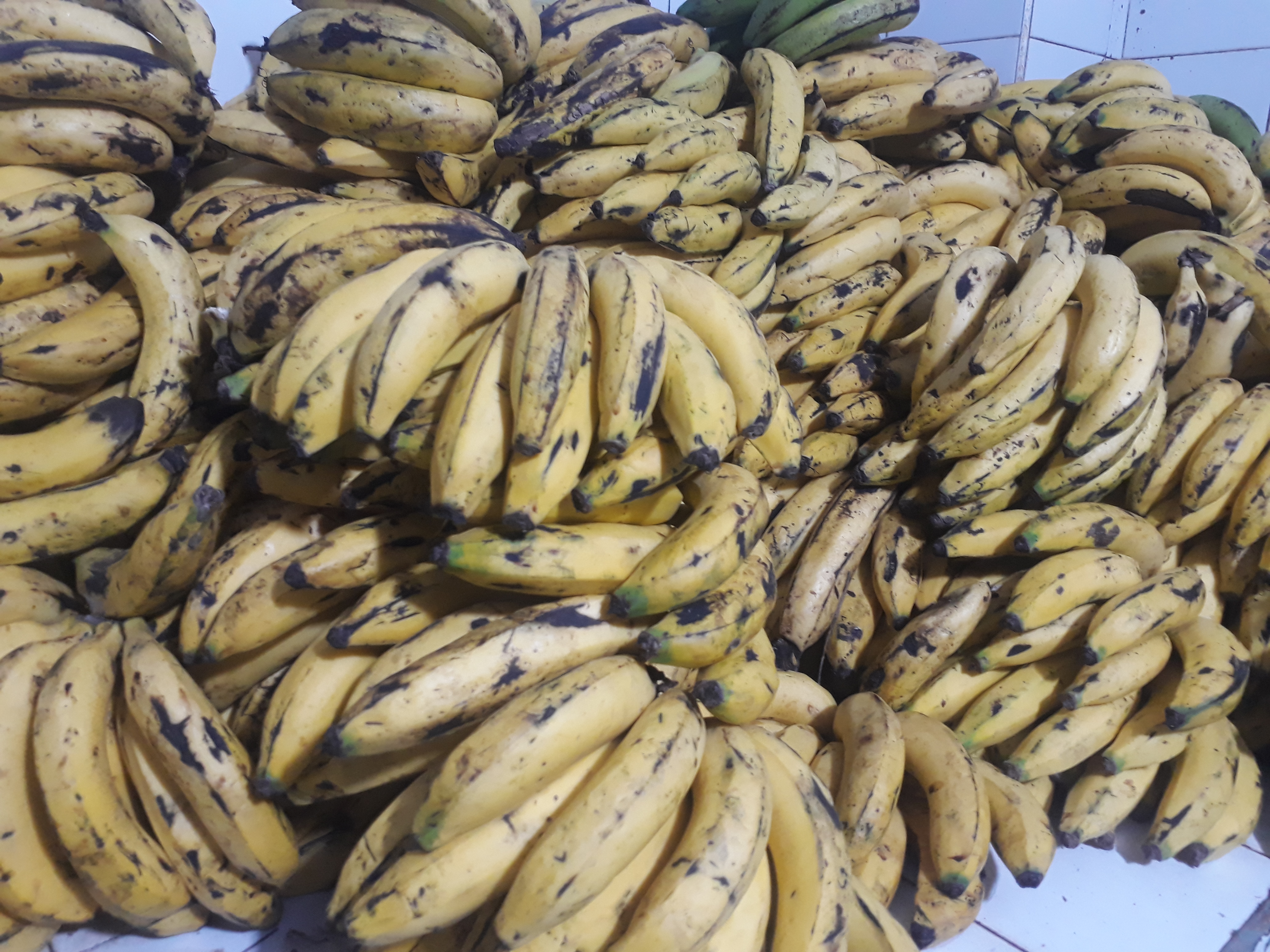 Banano maduro