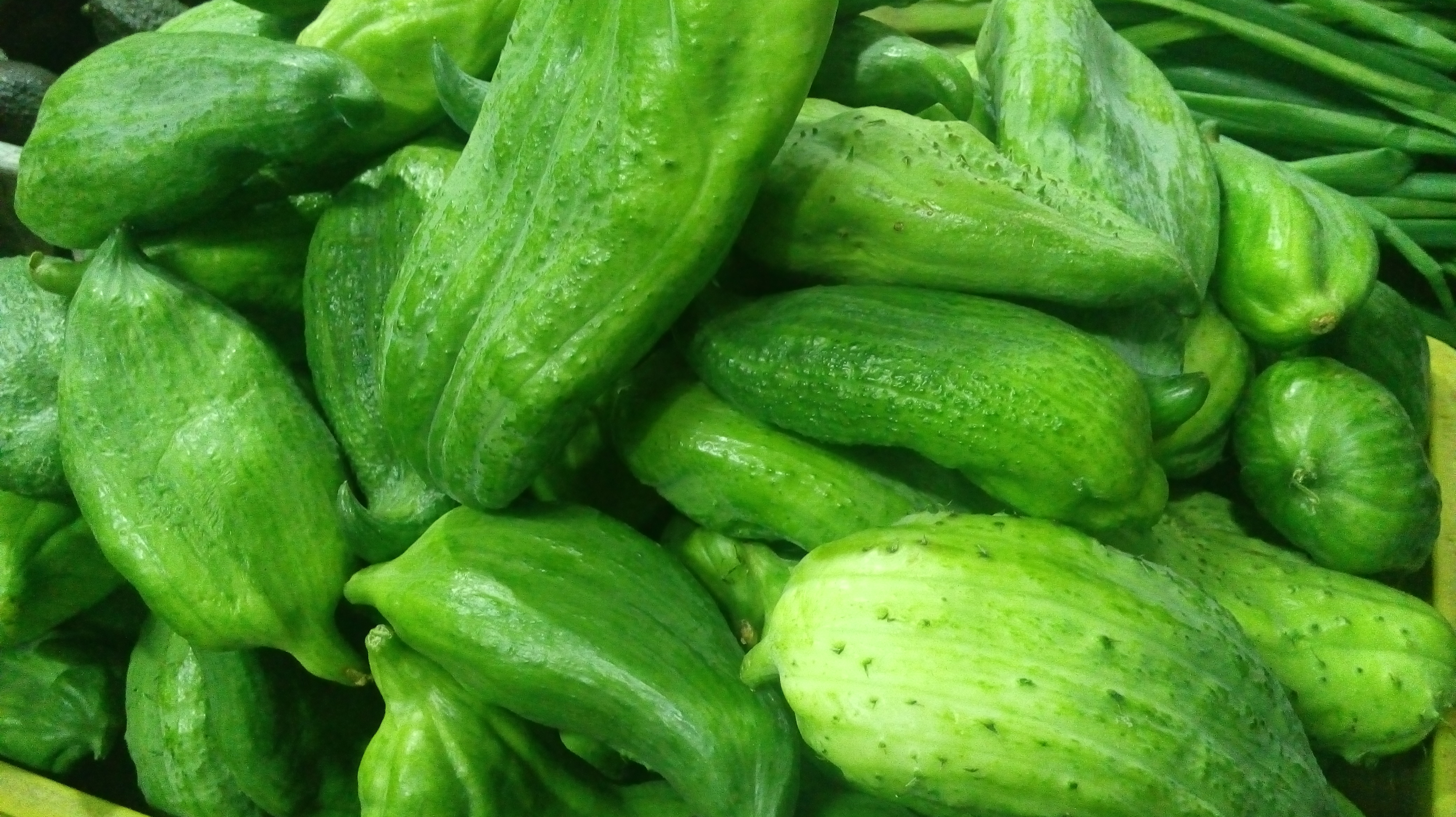 Pepinillo