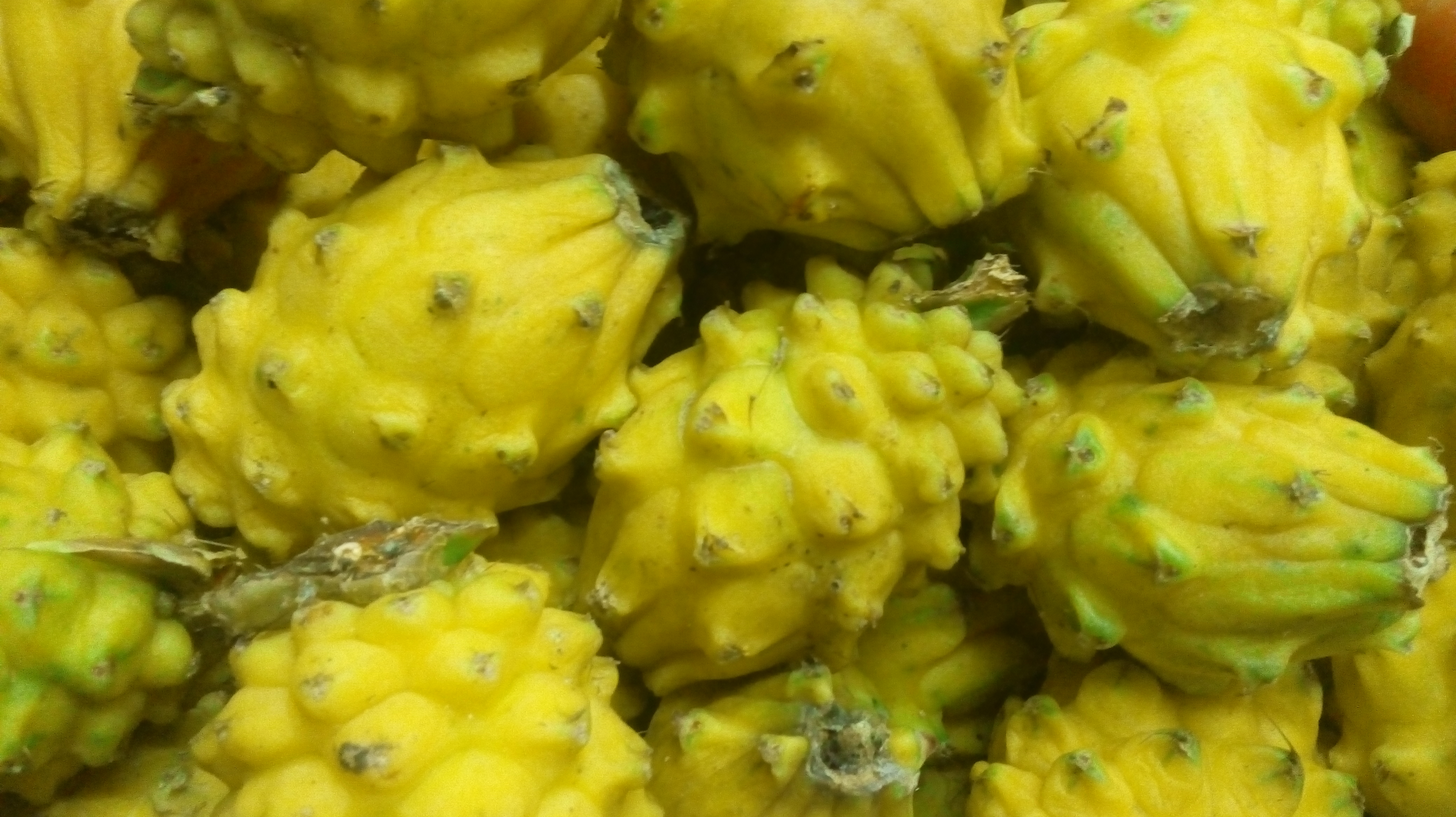 Pitaya