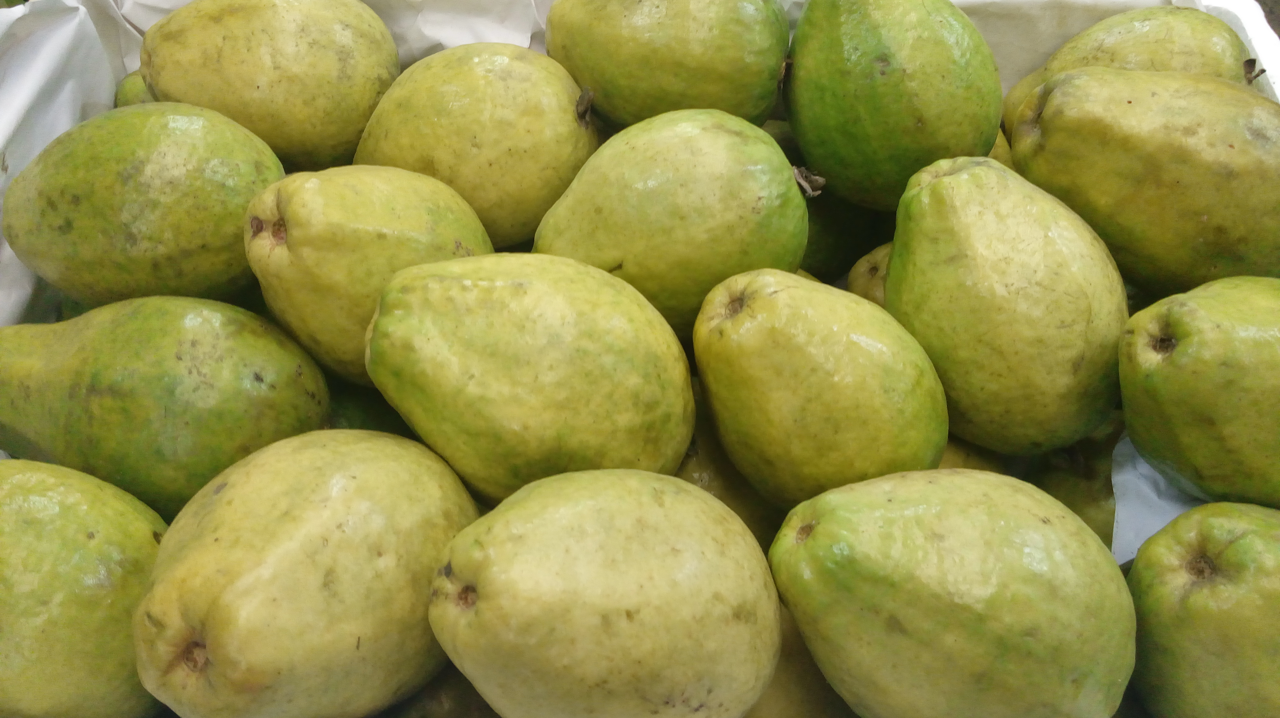 Guayaba