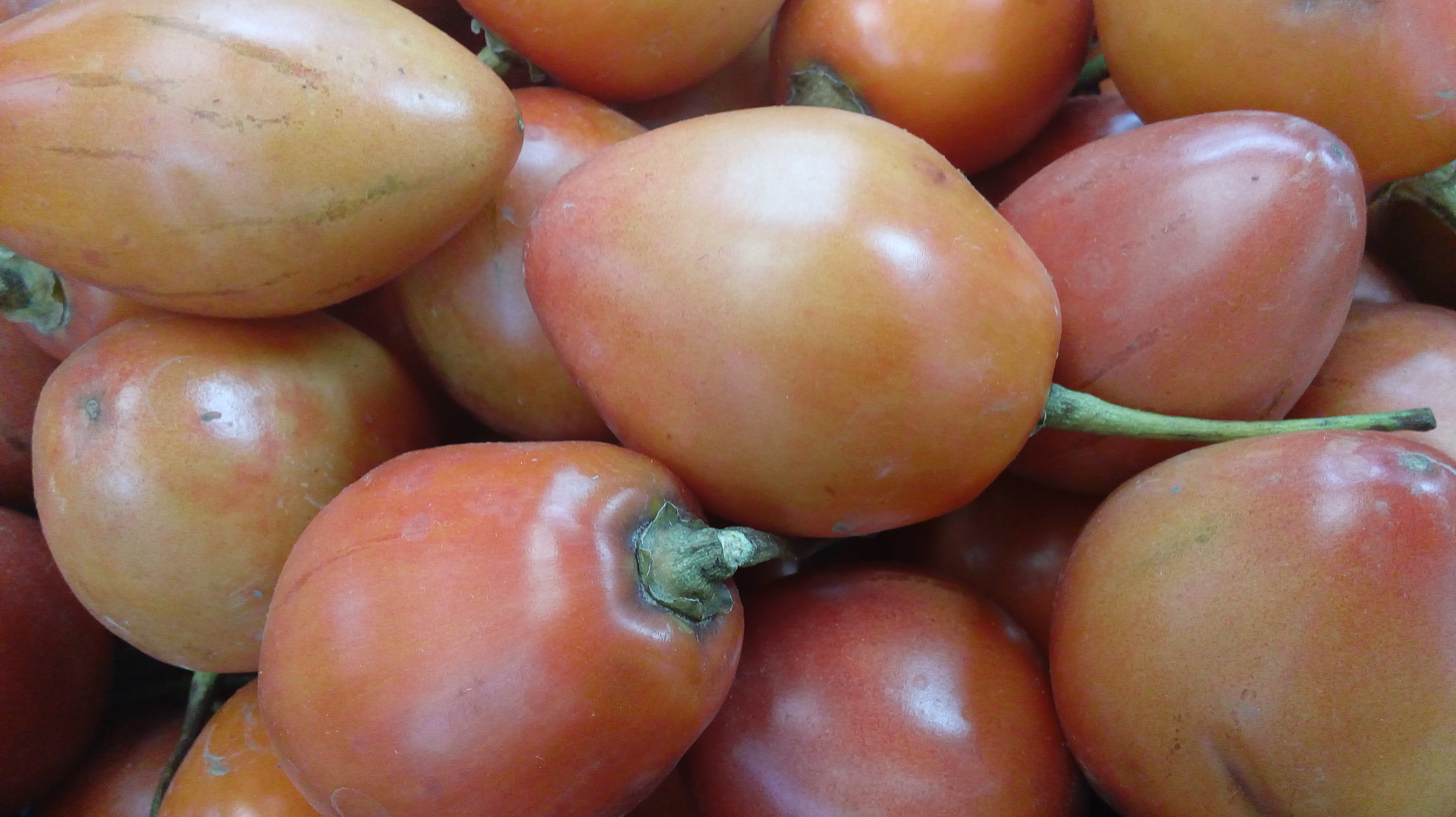 Tomate de arbol