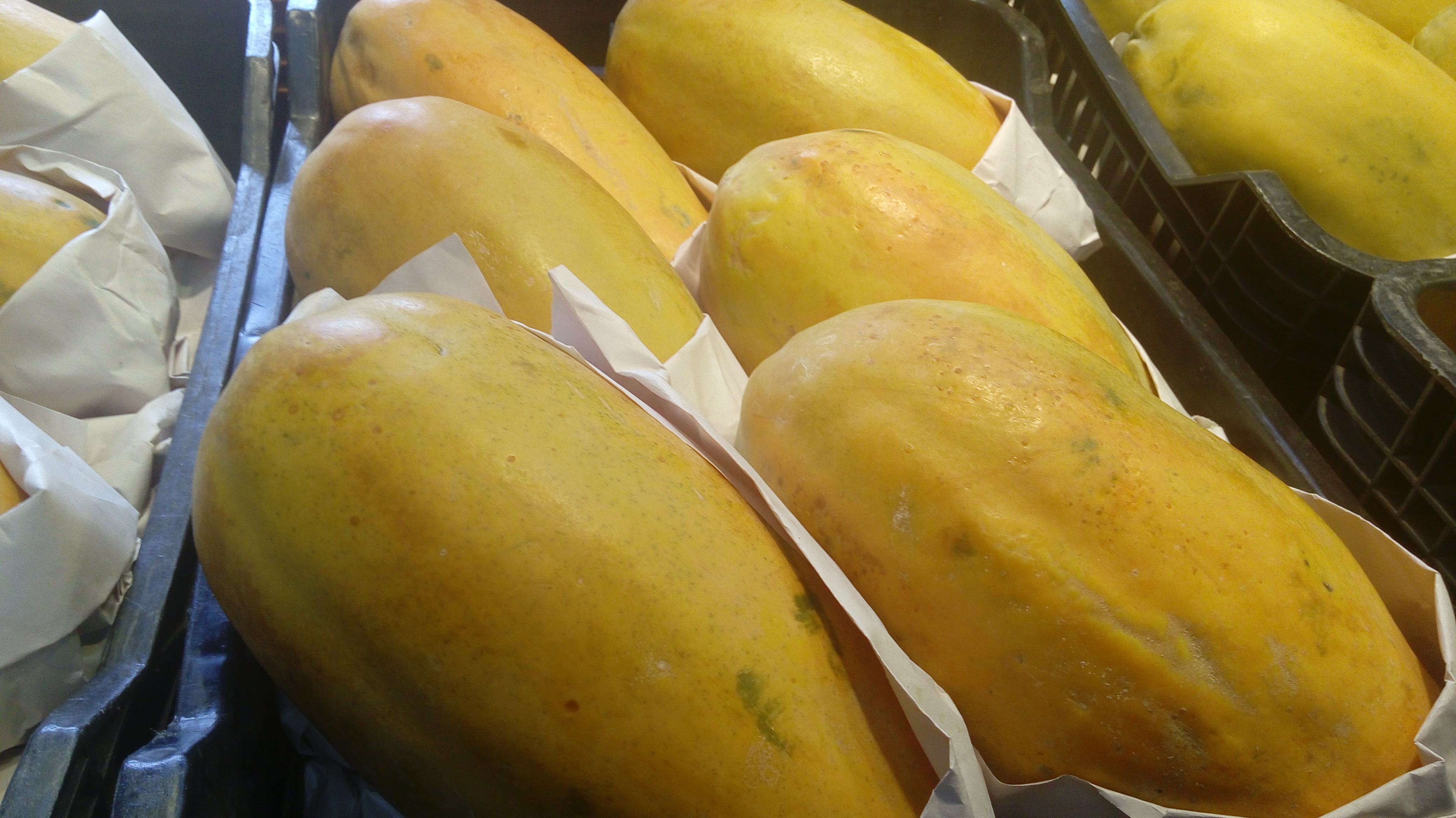 Papaya