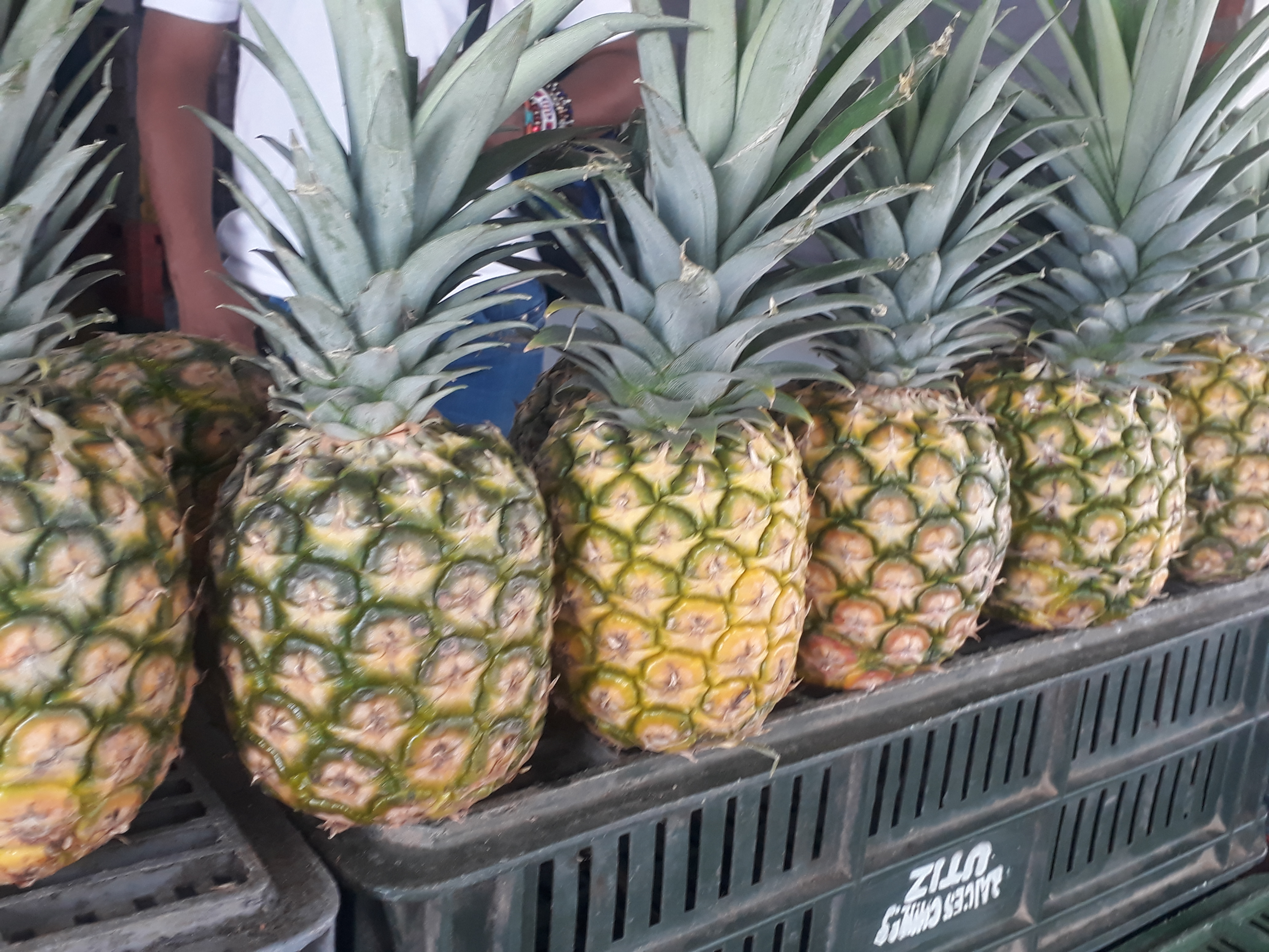 Piña