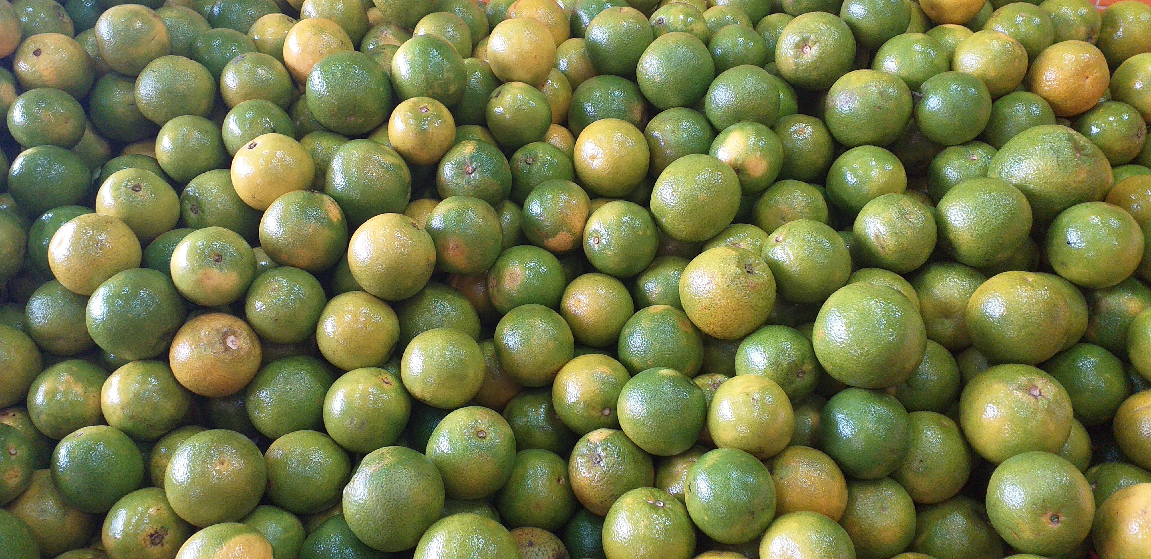 Naranja valencia