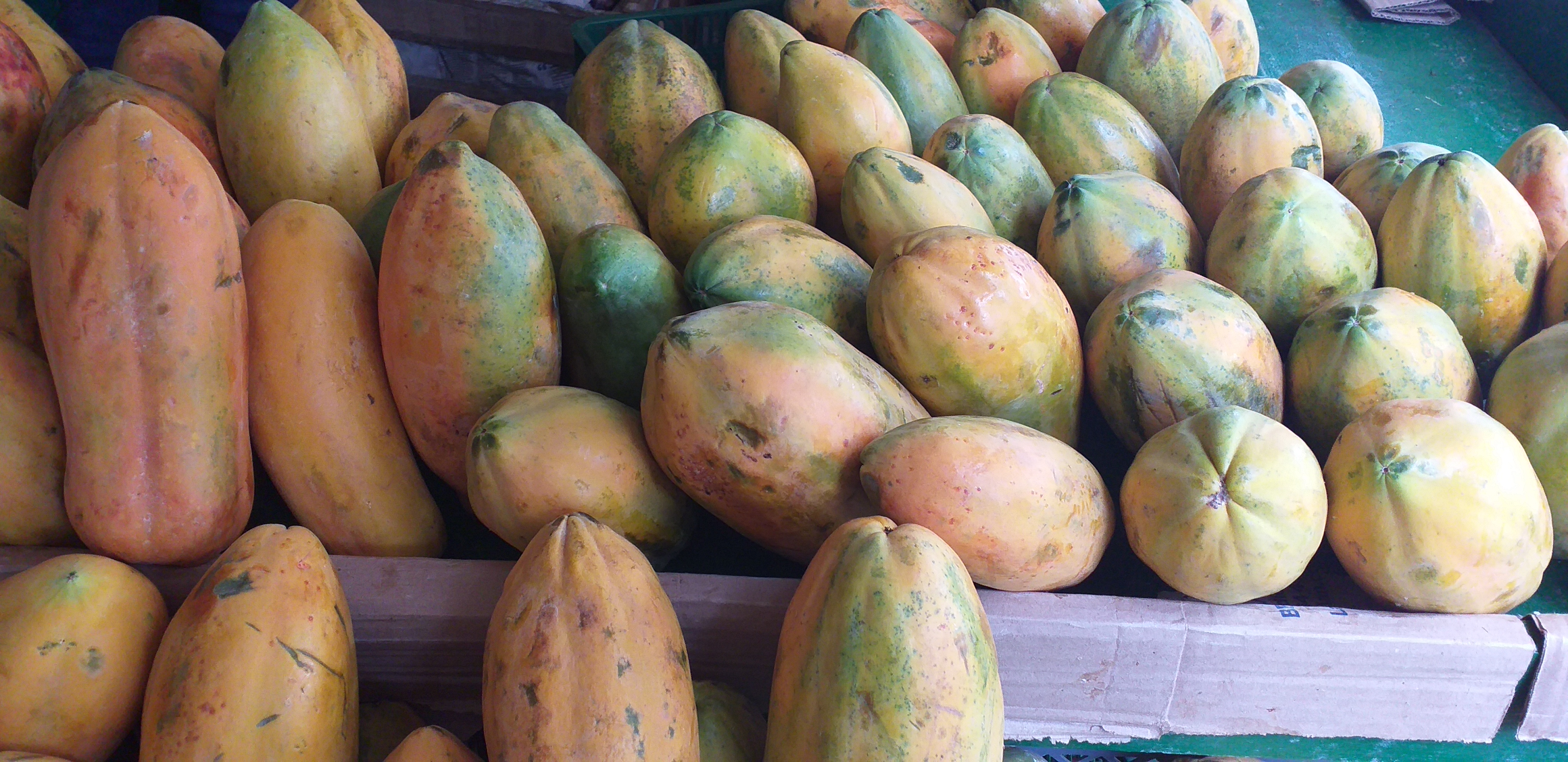 Papaya tainung