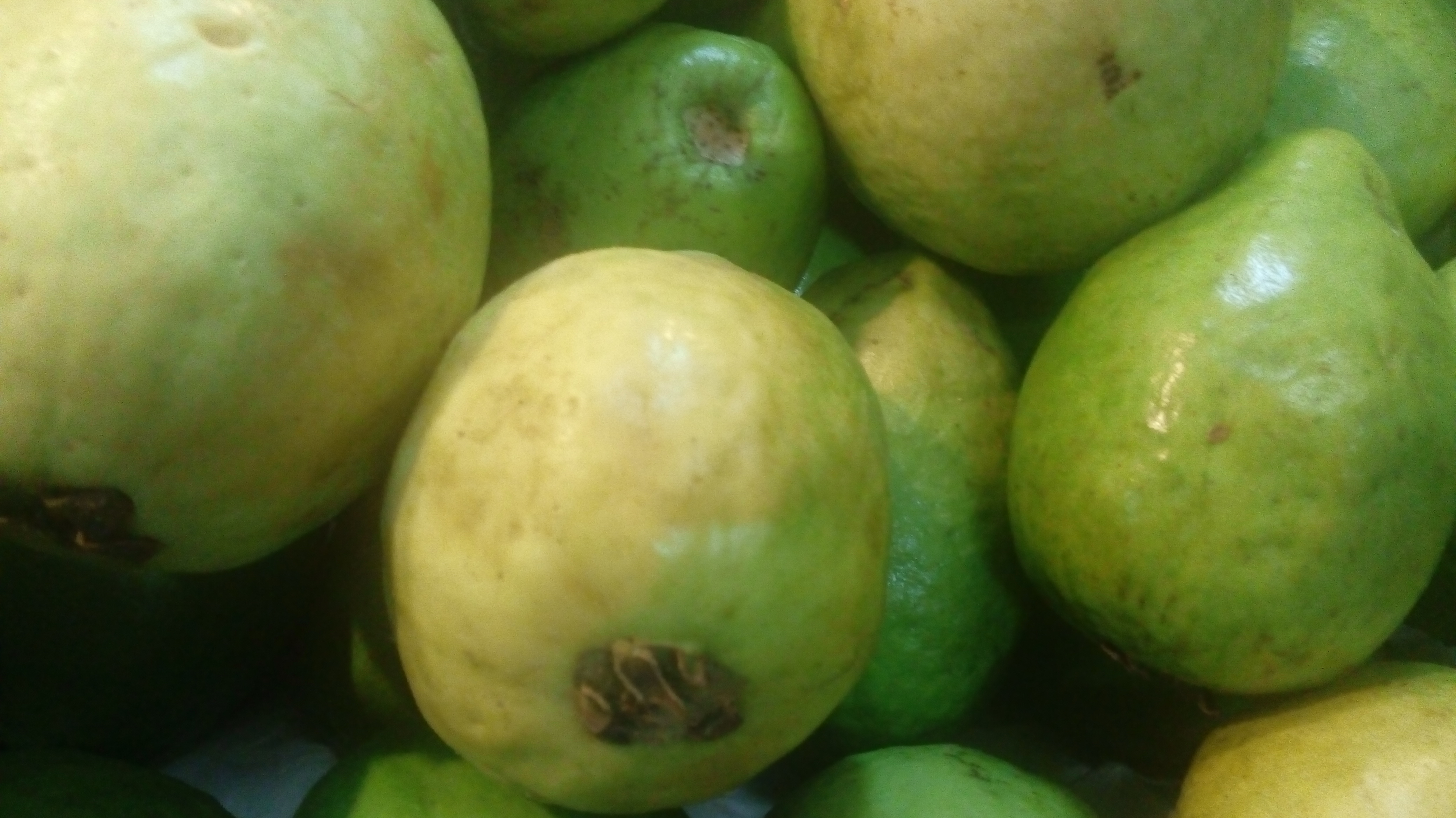 Guayaba