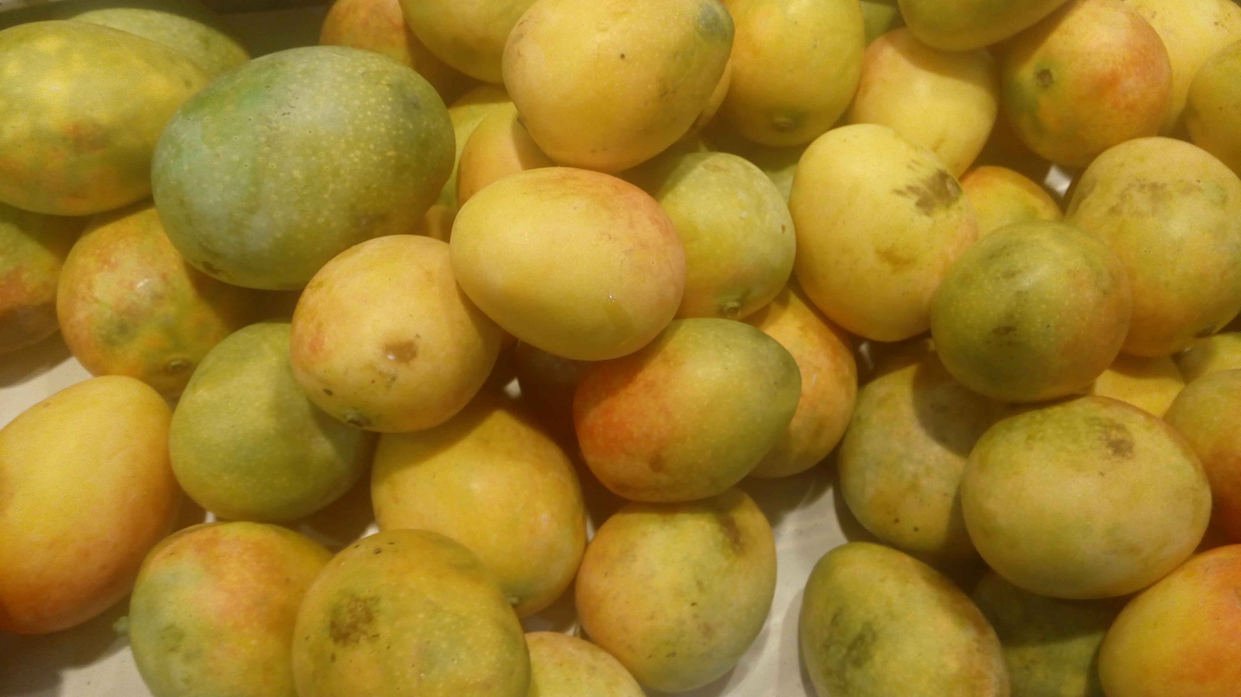 Mango dulce