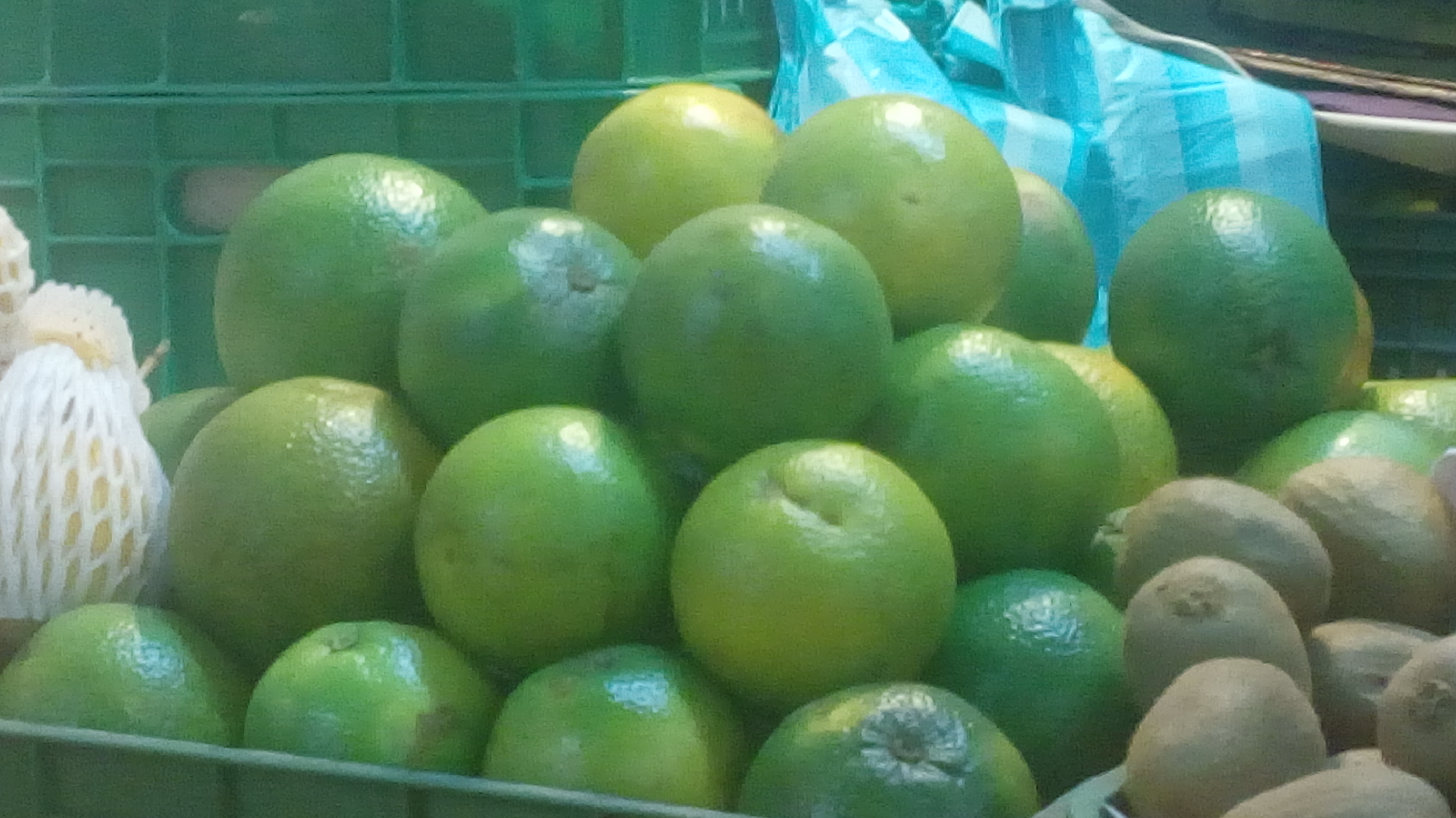 Mandarina
