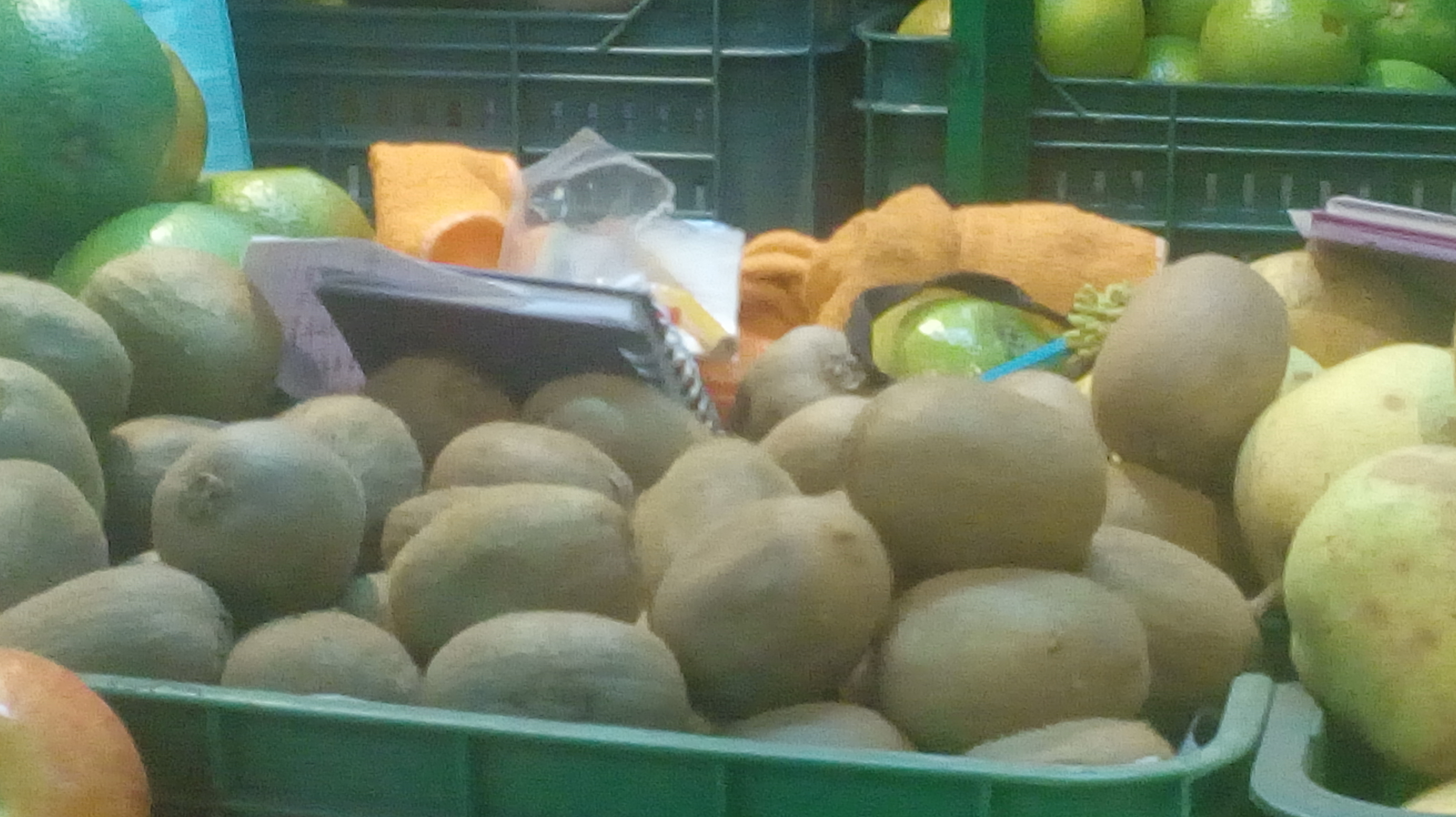 Kiwi