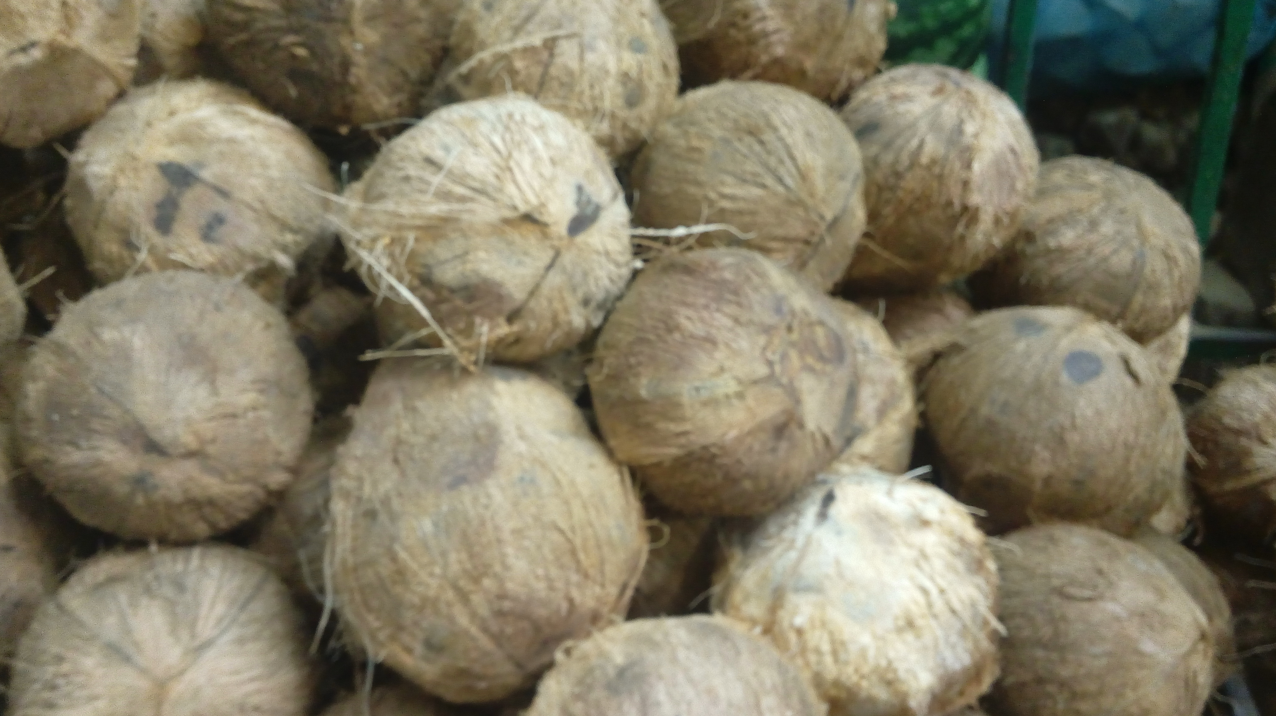 Coco