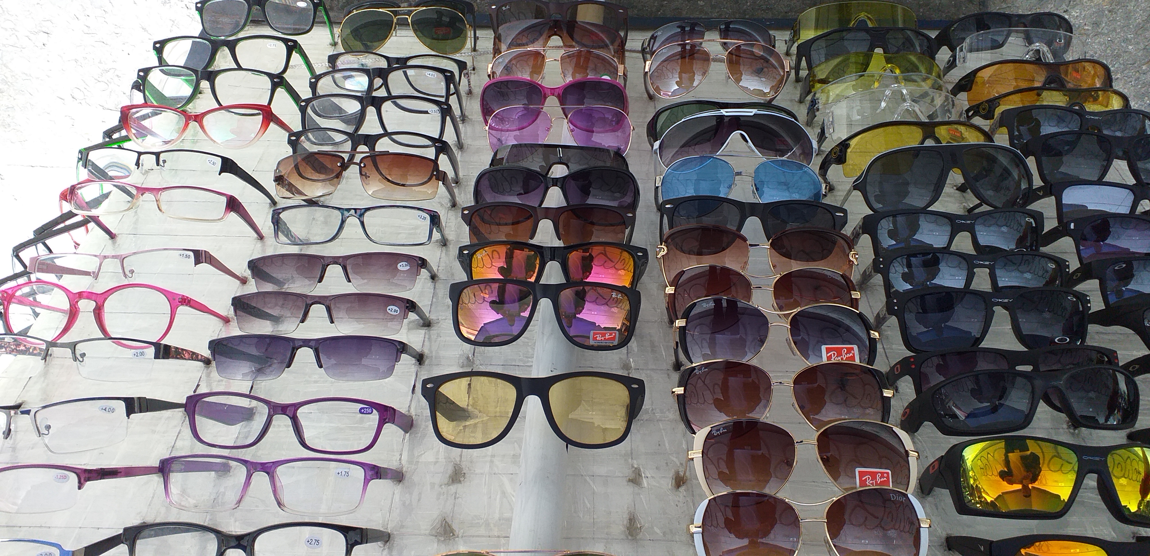Montura de gafas y gafas de sol