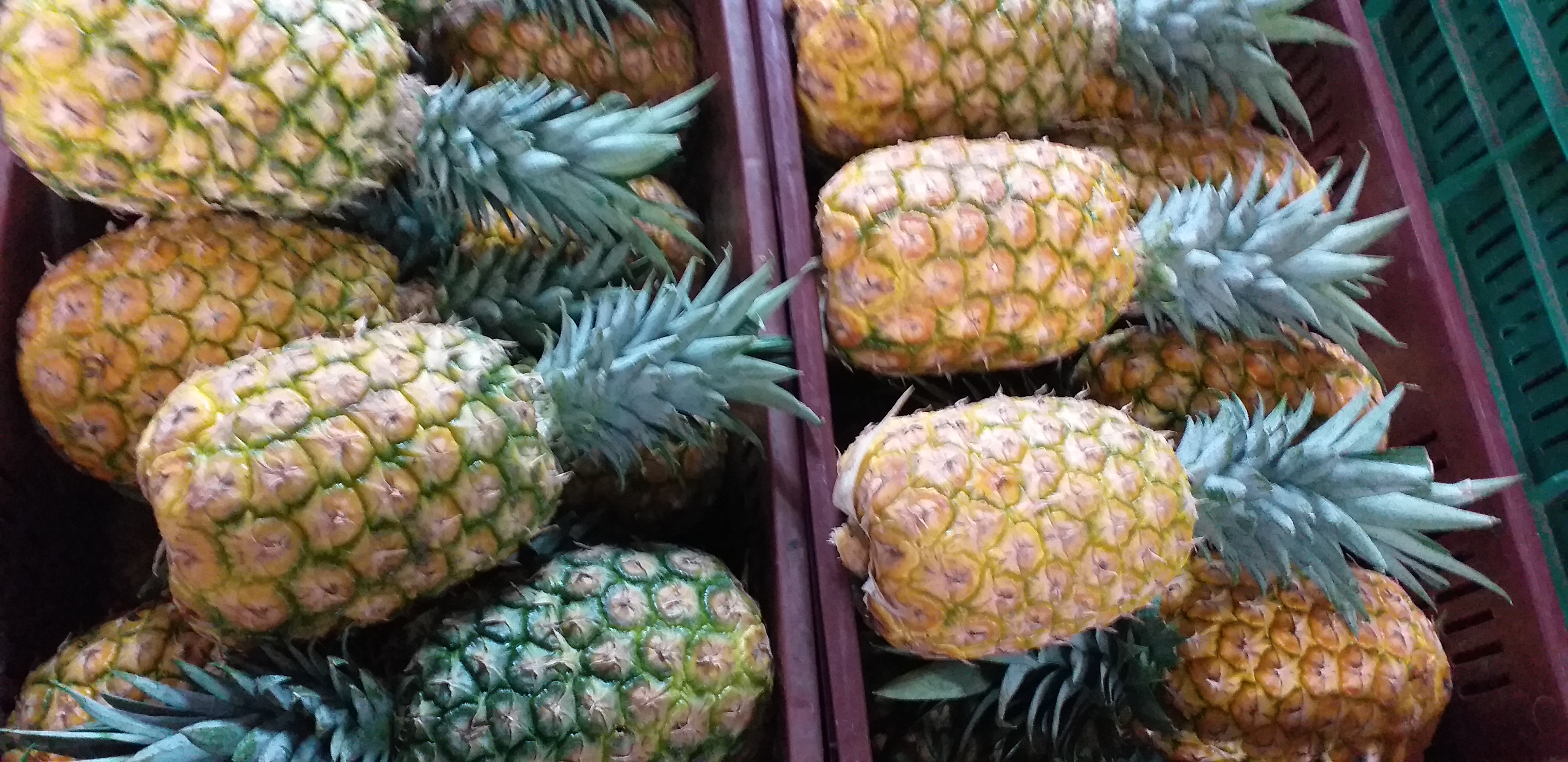 Piña oromiel