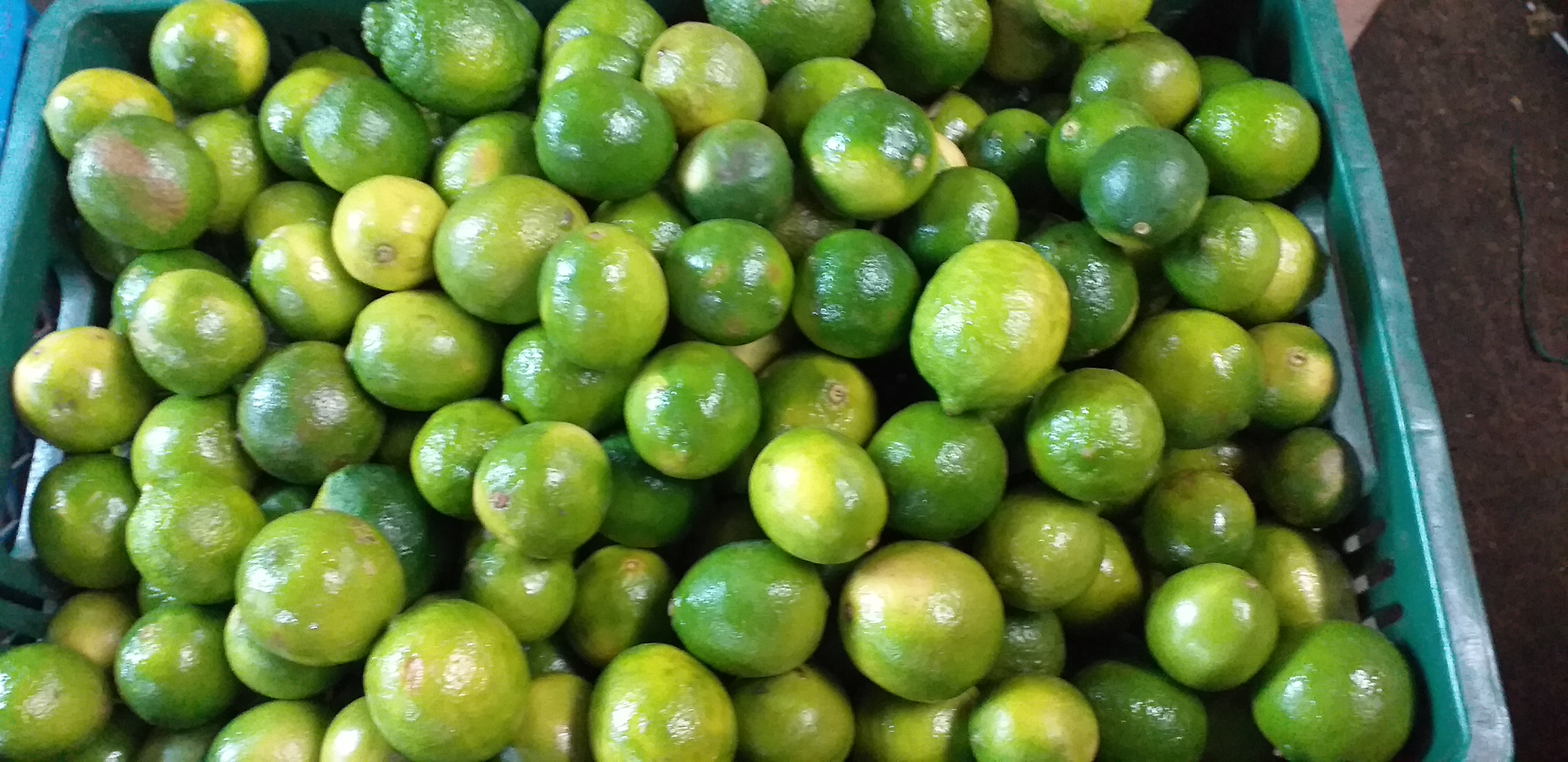 Limon tahiti