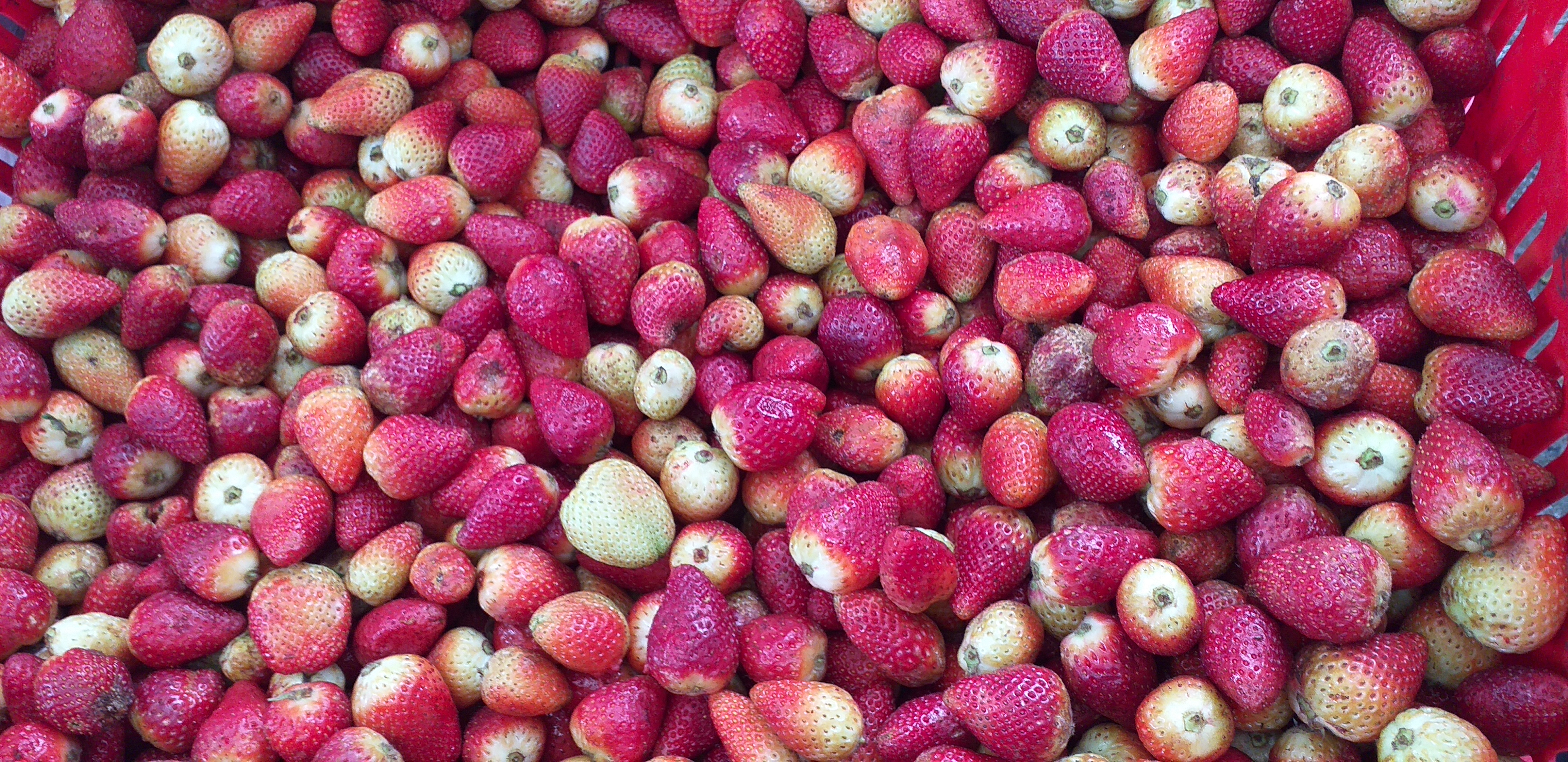 Fresa de 3ra