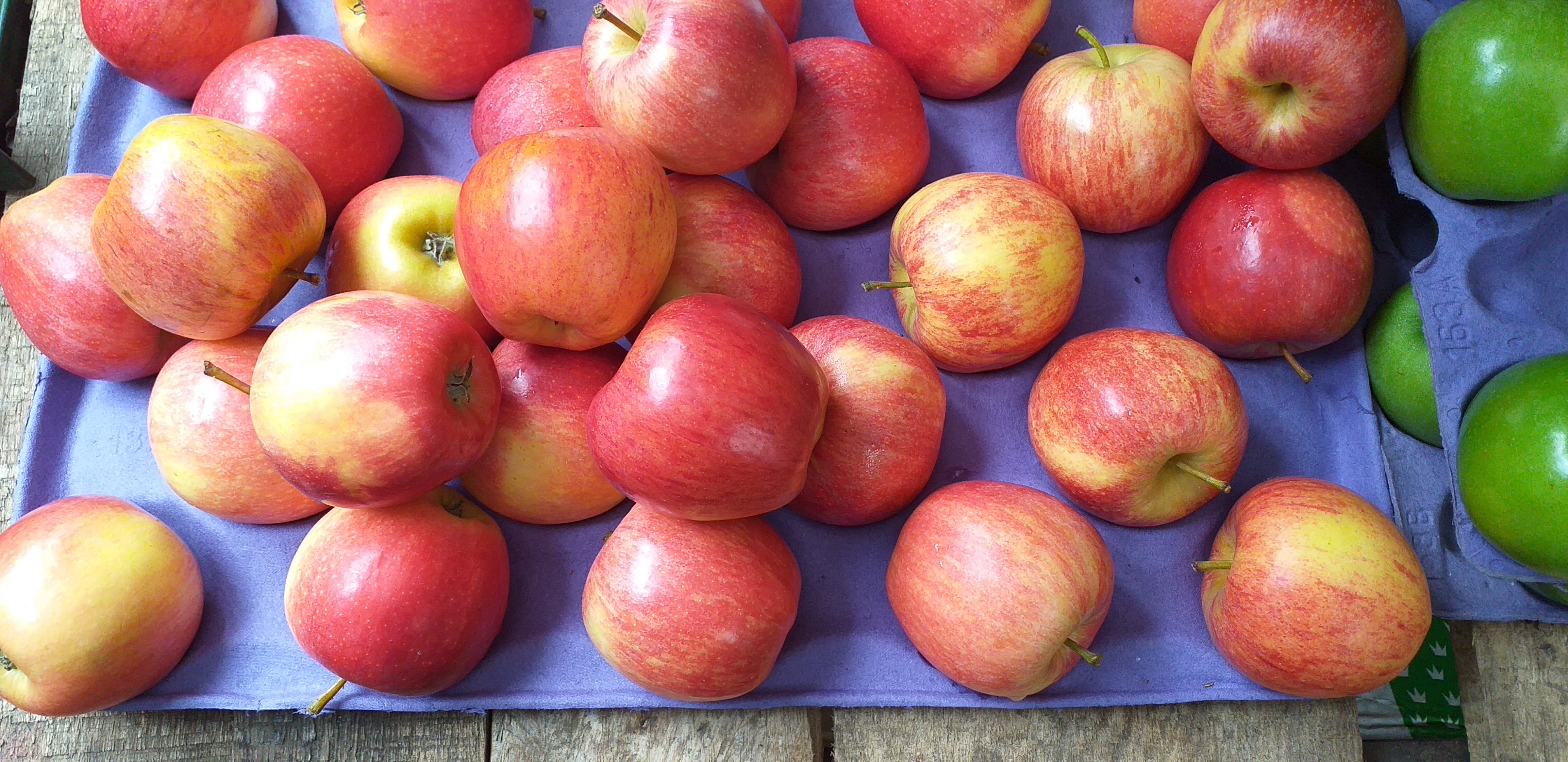 Manzana roja x 12 unidades