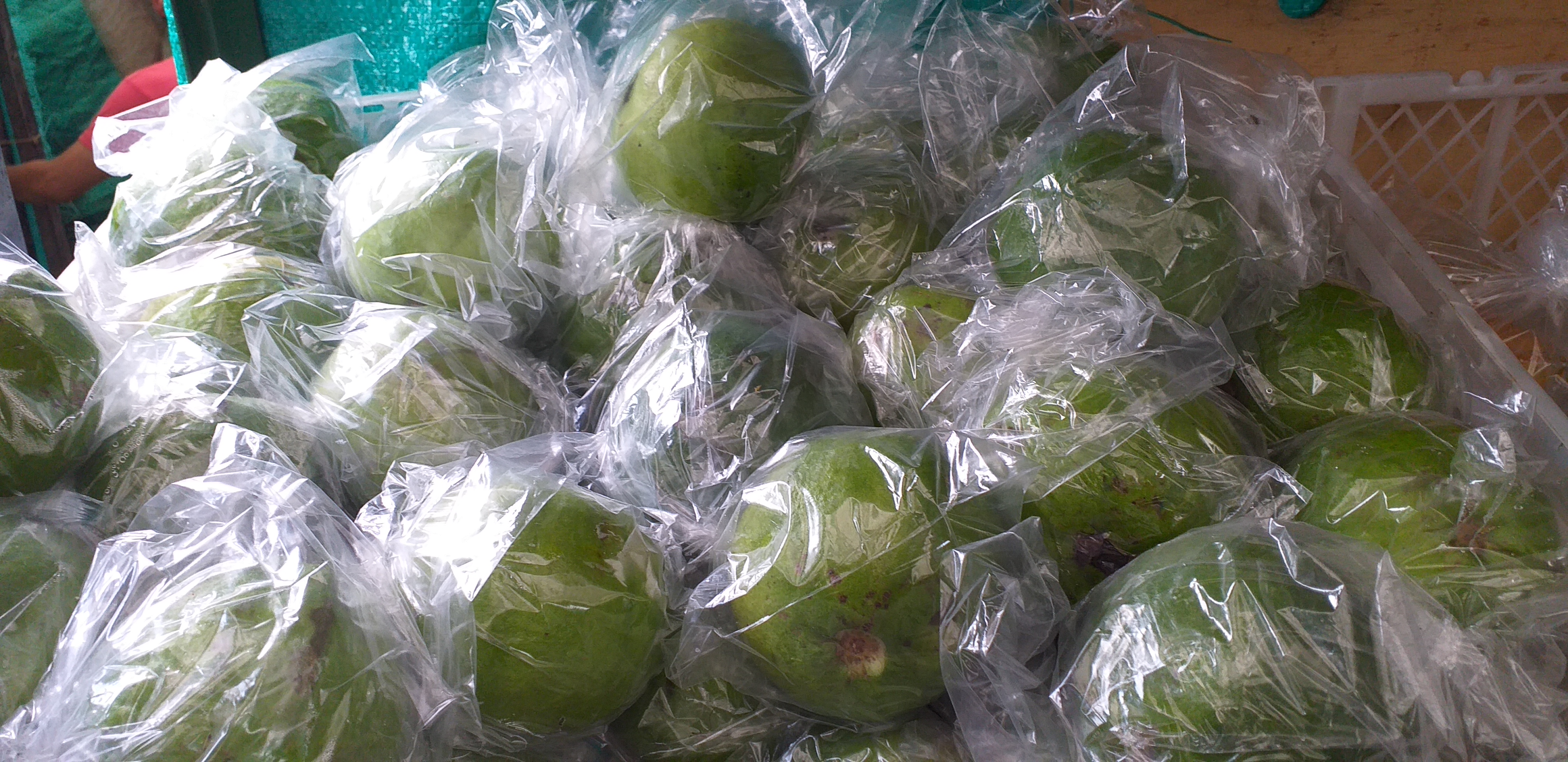 Guayaba manzana