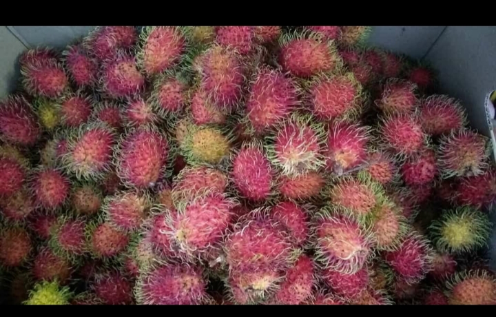 Rambutan
