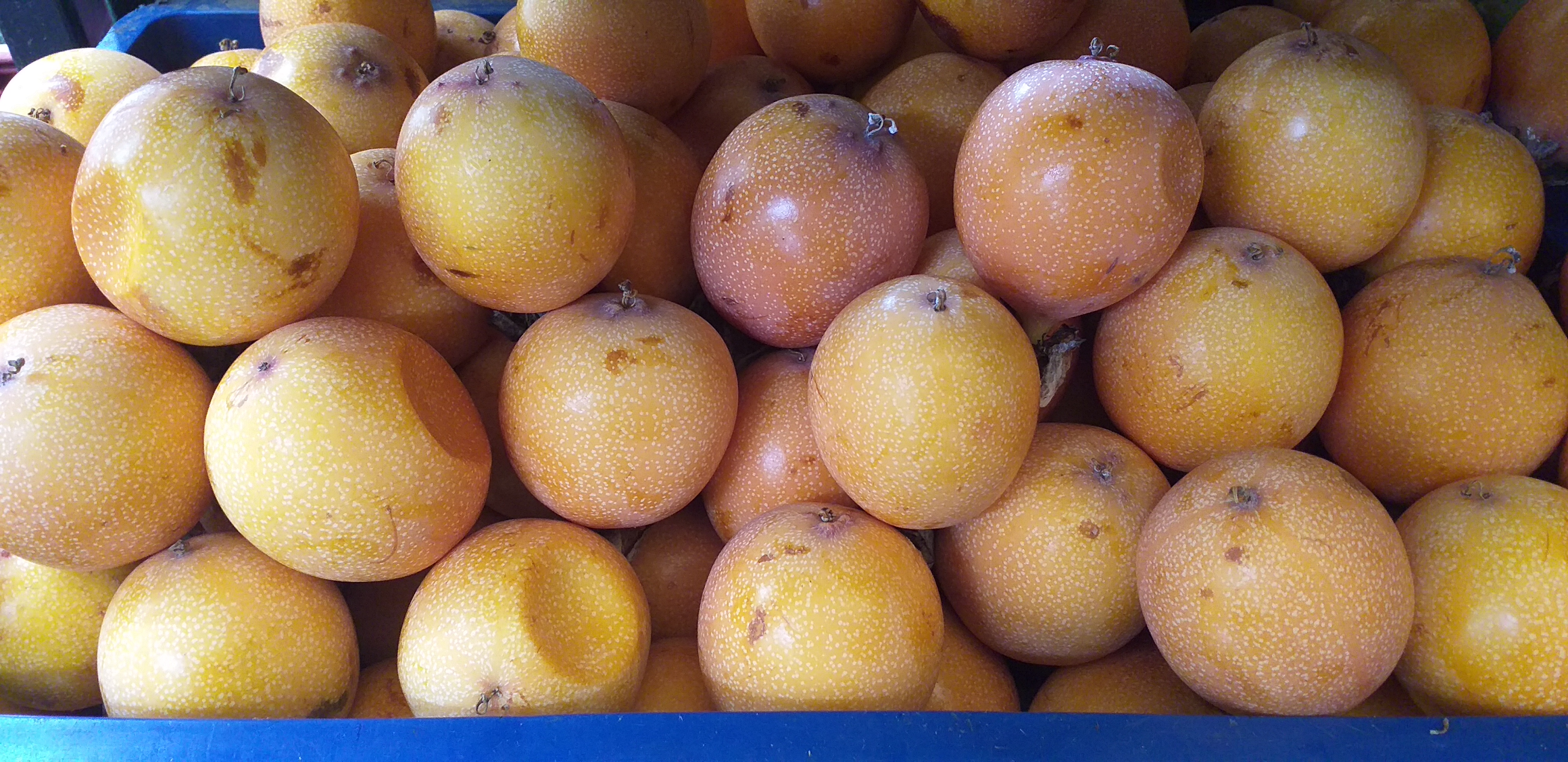 Granadilla x 12 unid