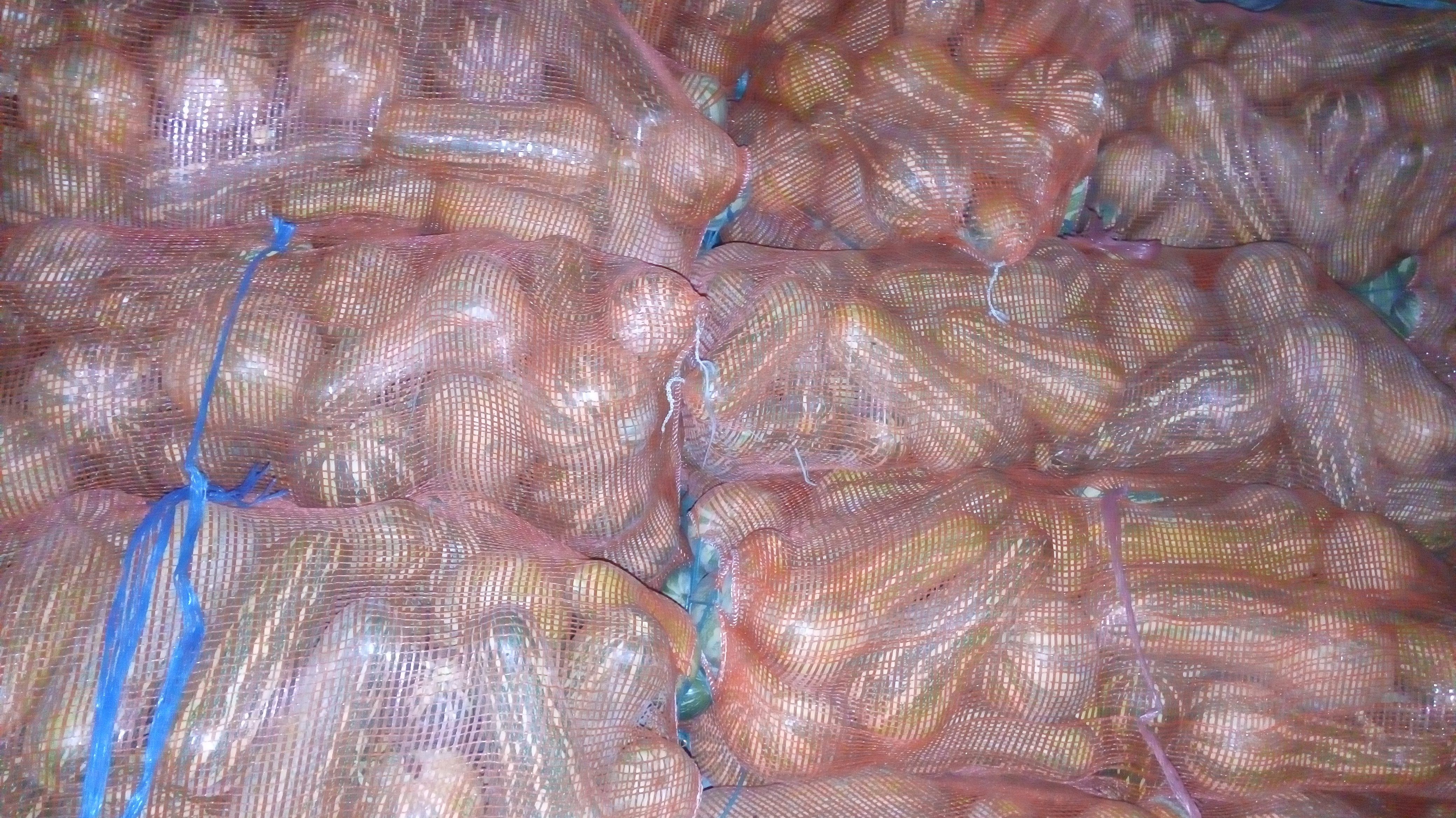 Ahuyama
