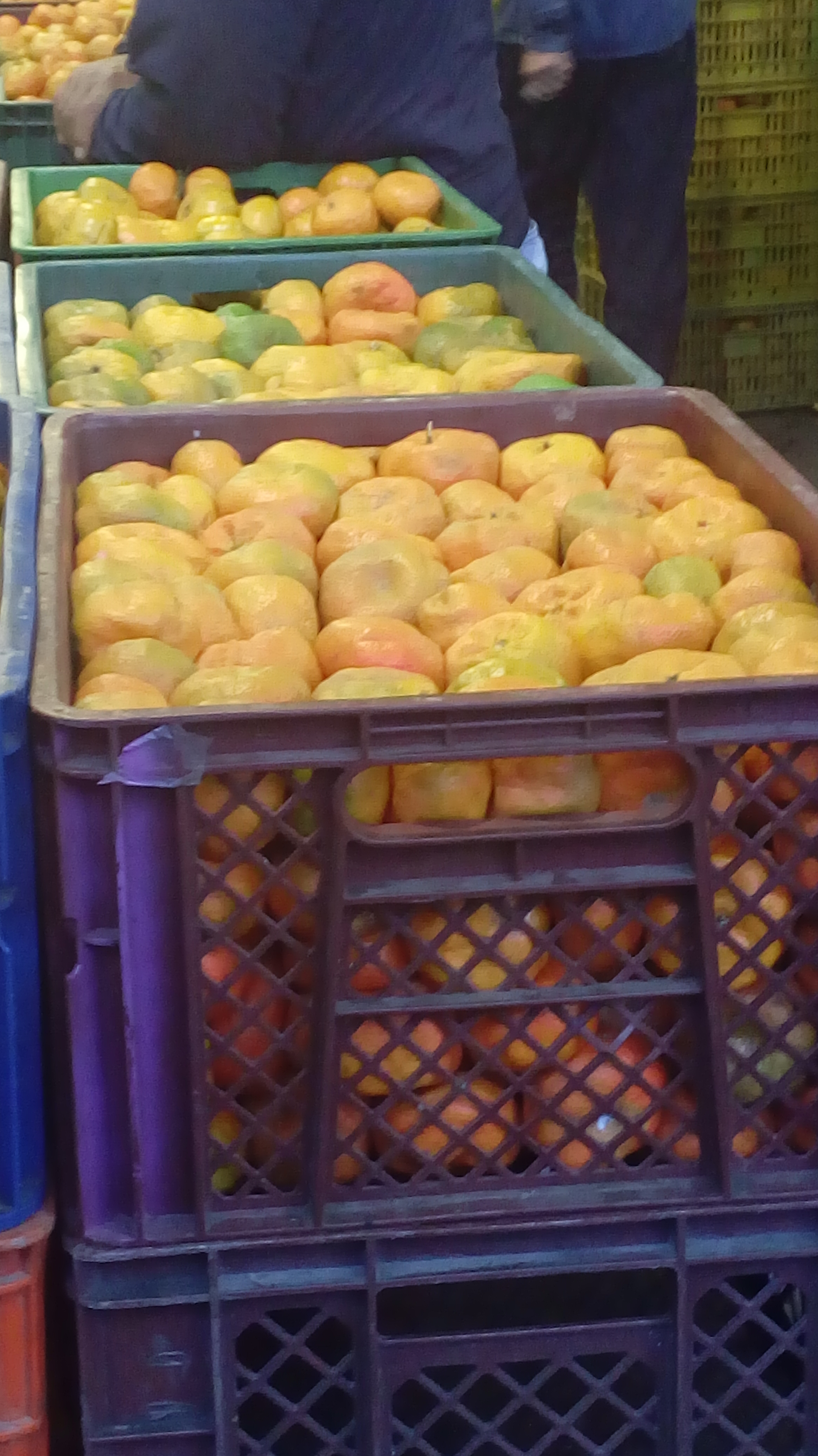Mandarina