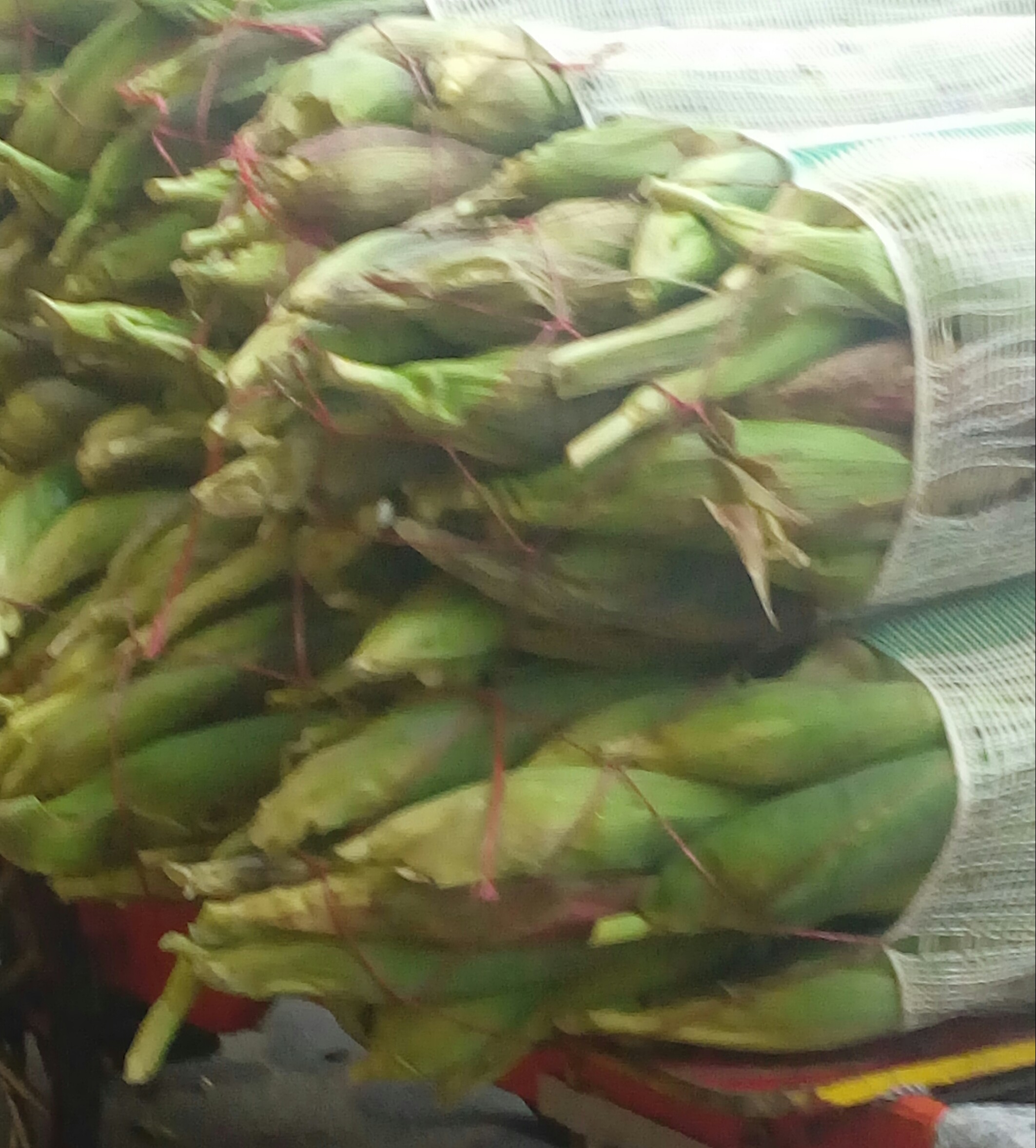 Mazorca fina