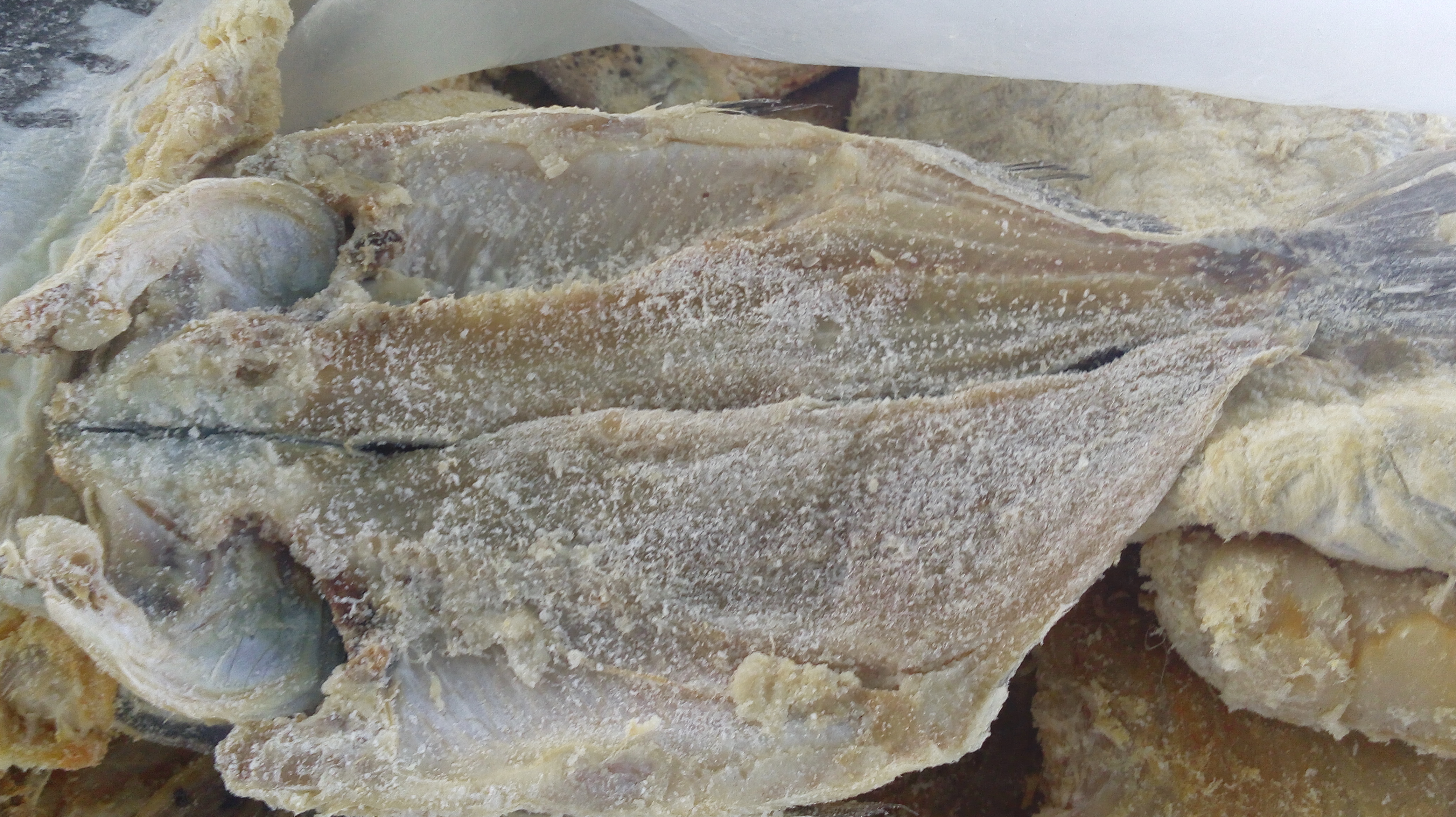 Pescado Seco corriente