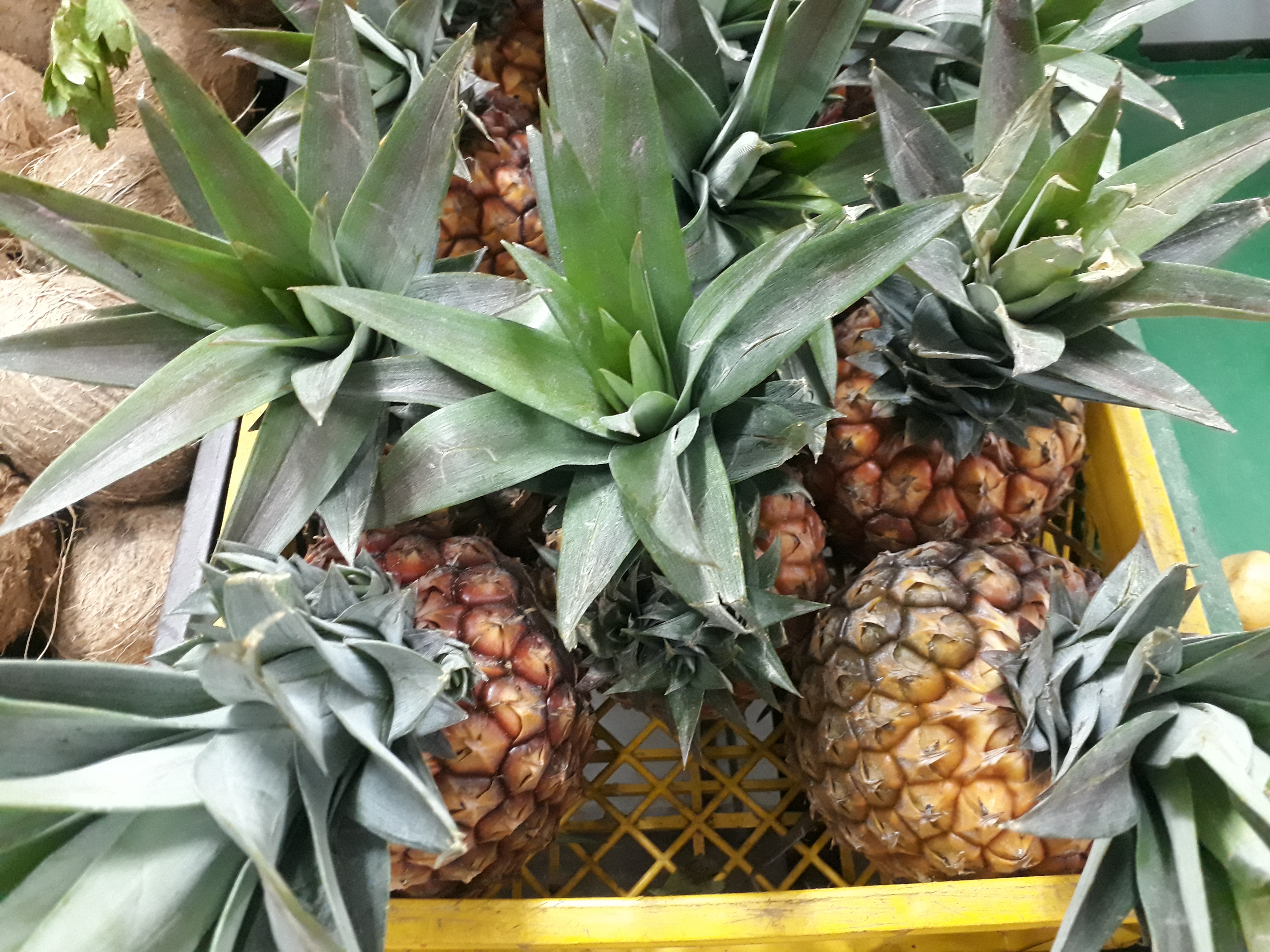 Piña