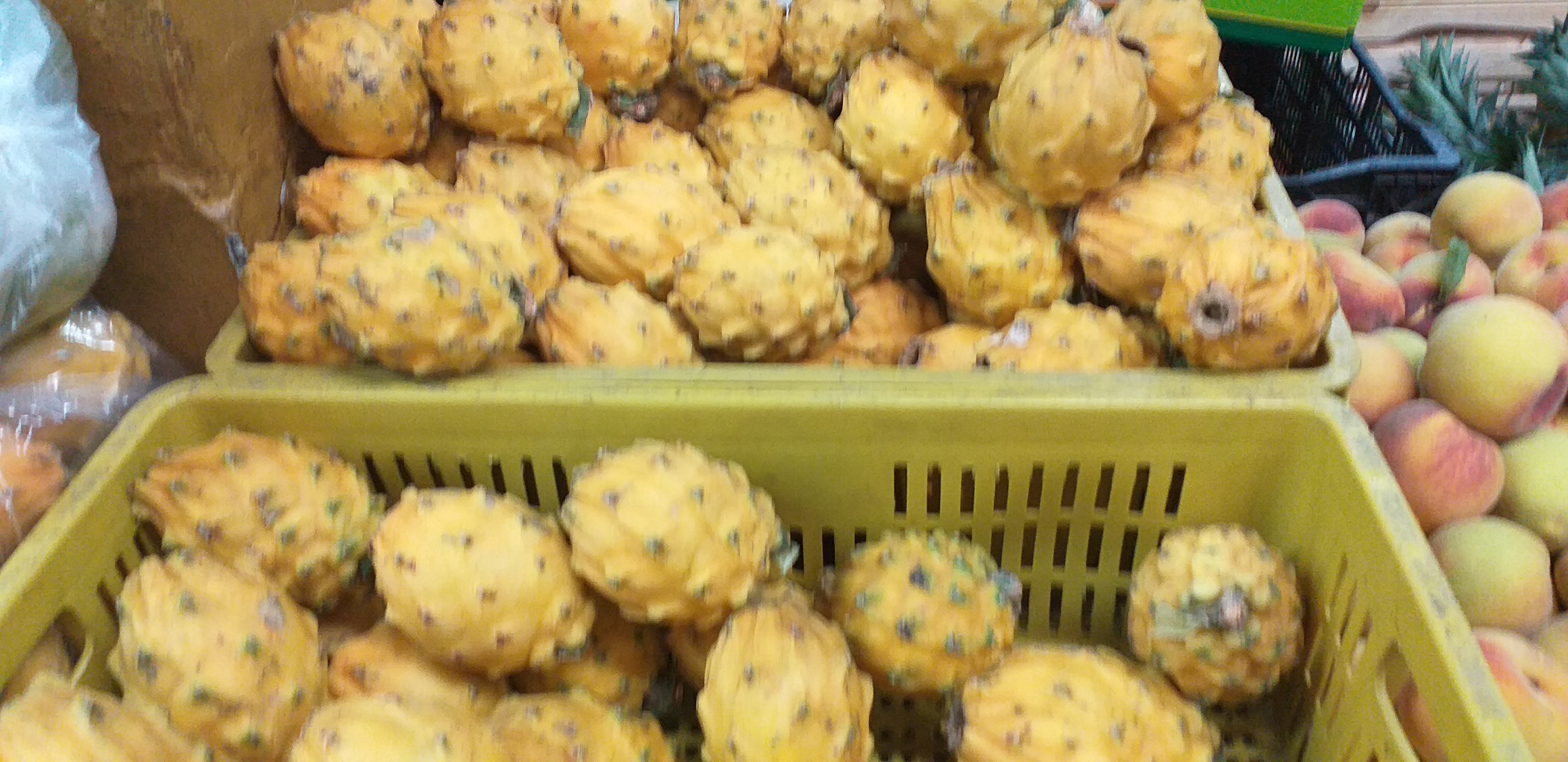 Pitahaya