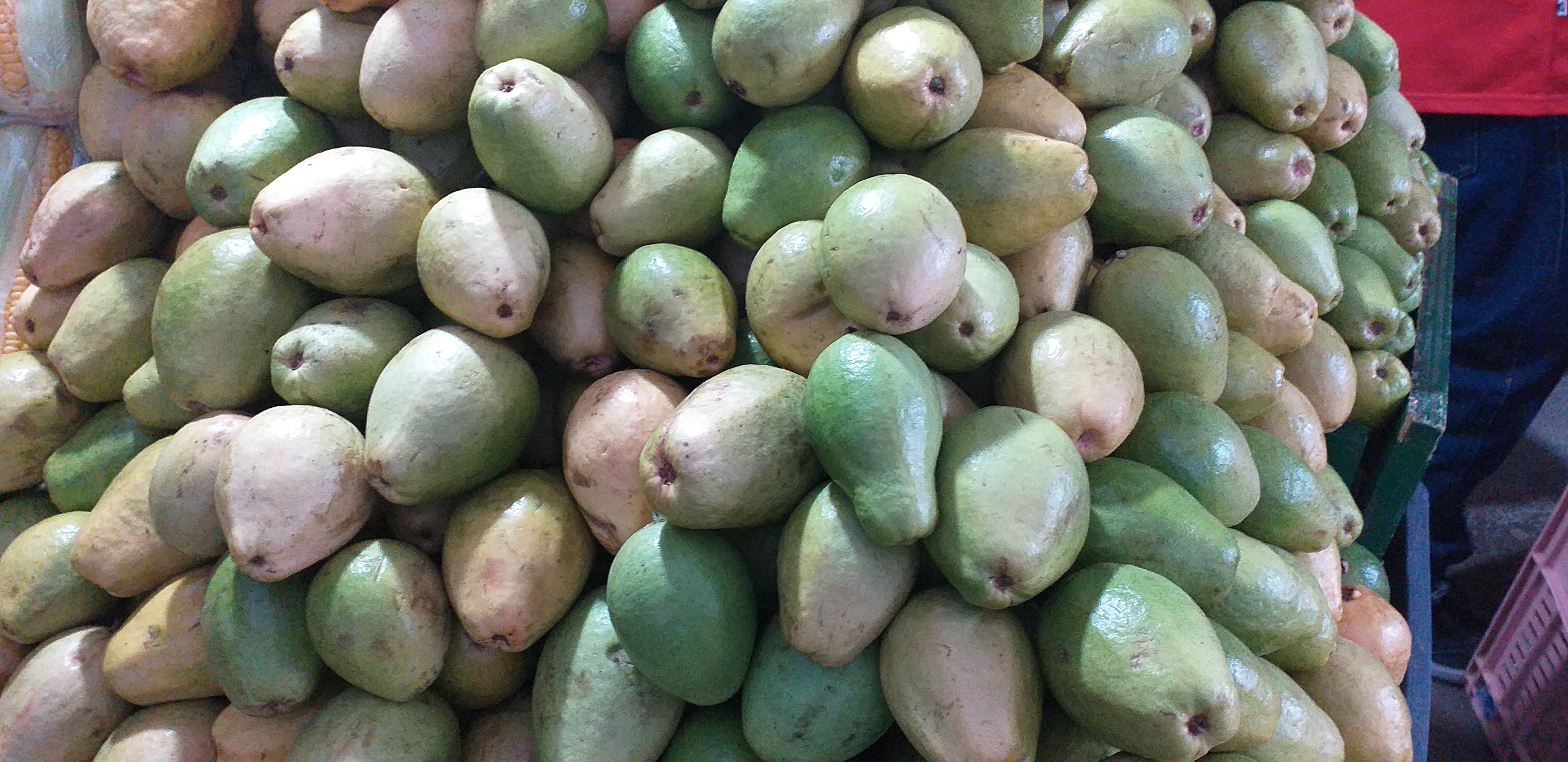 Guayaba pera
