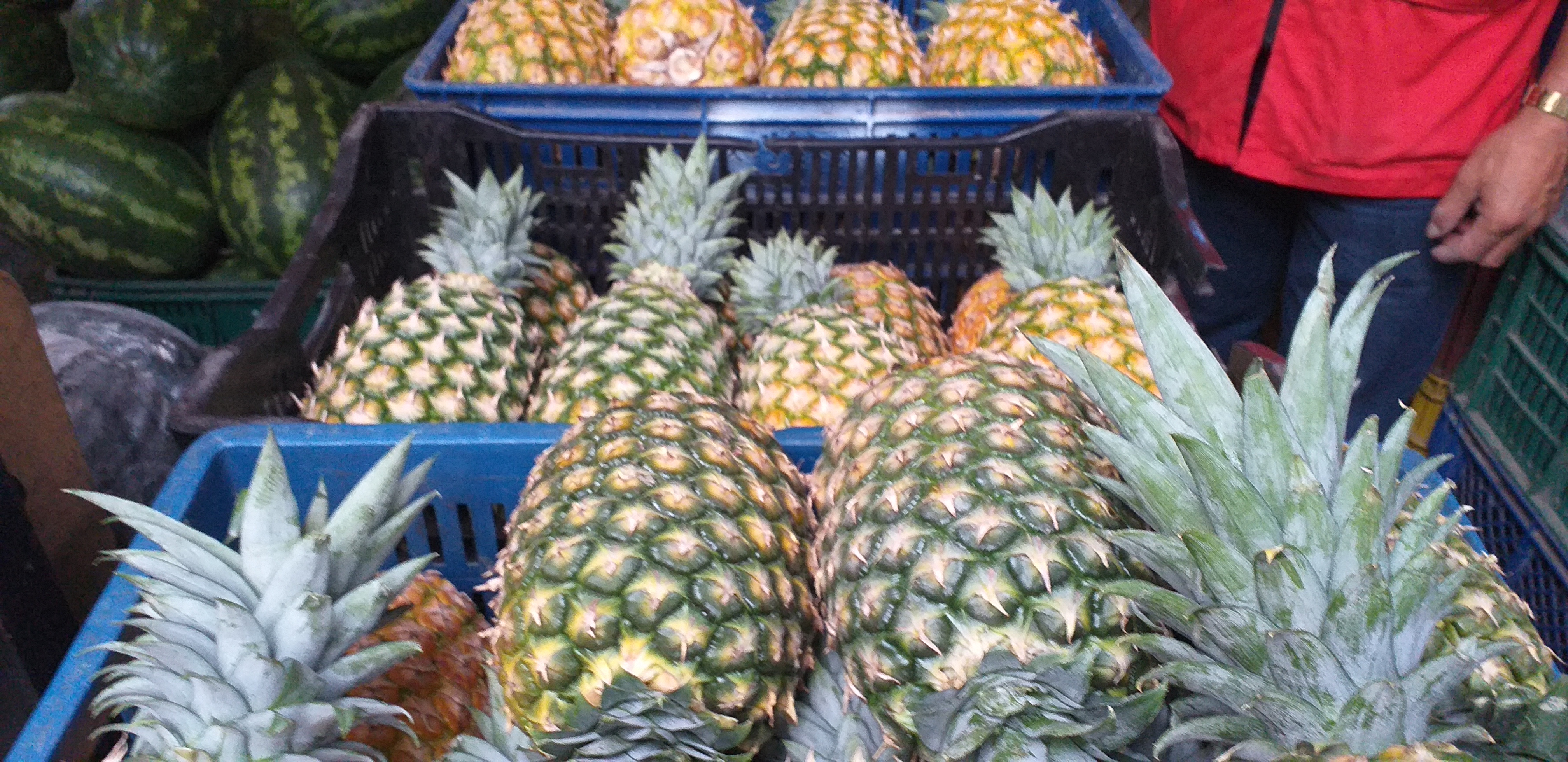 Piña oromiel