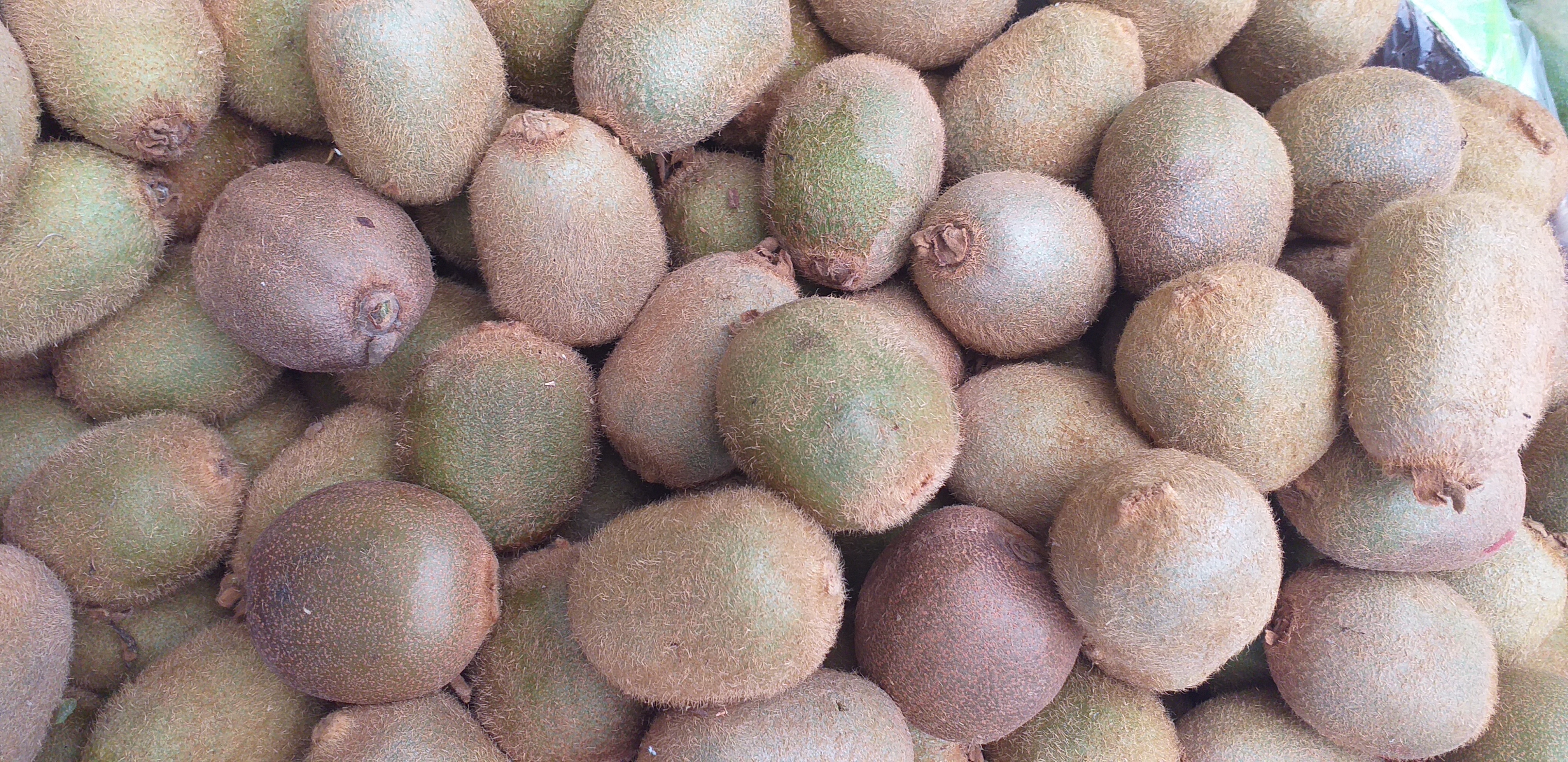 Kiwi