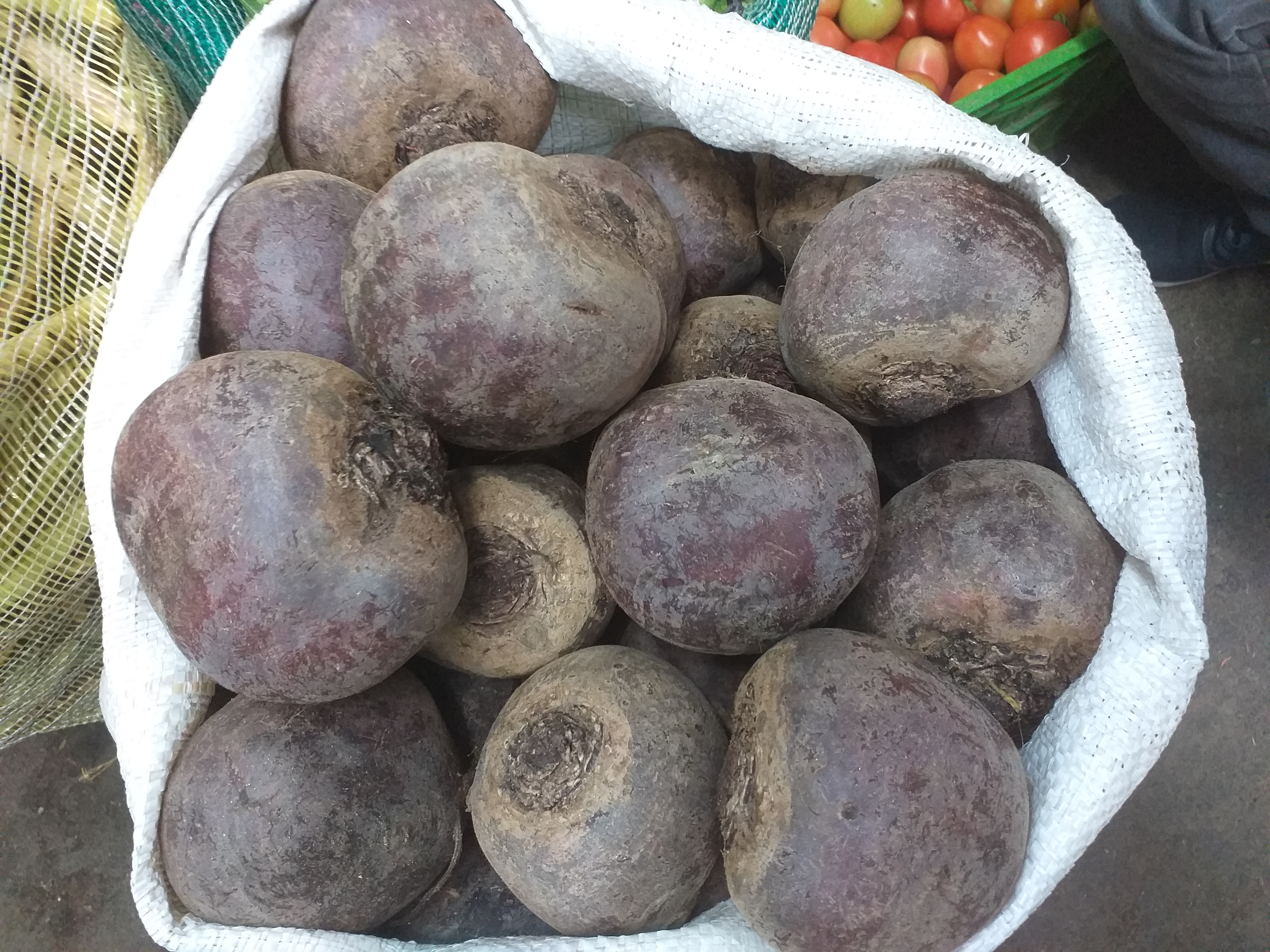 Remolacha