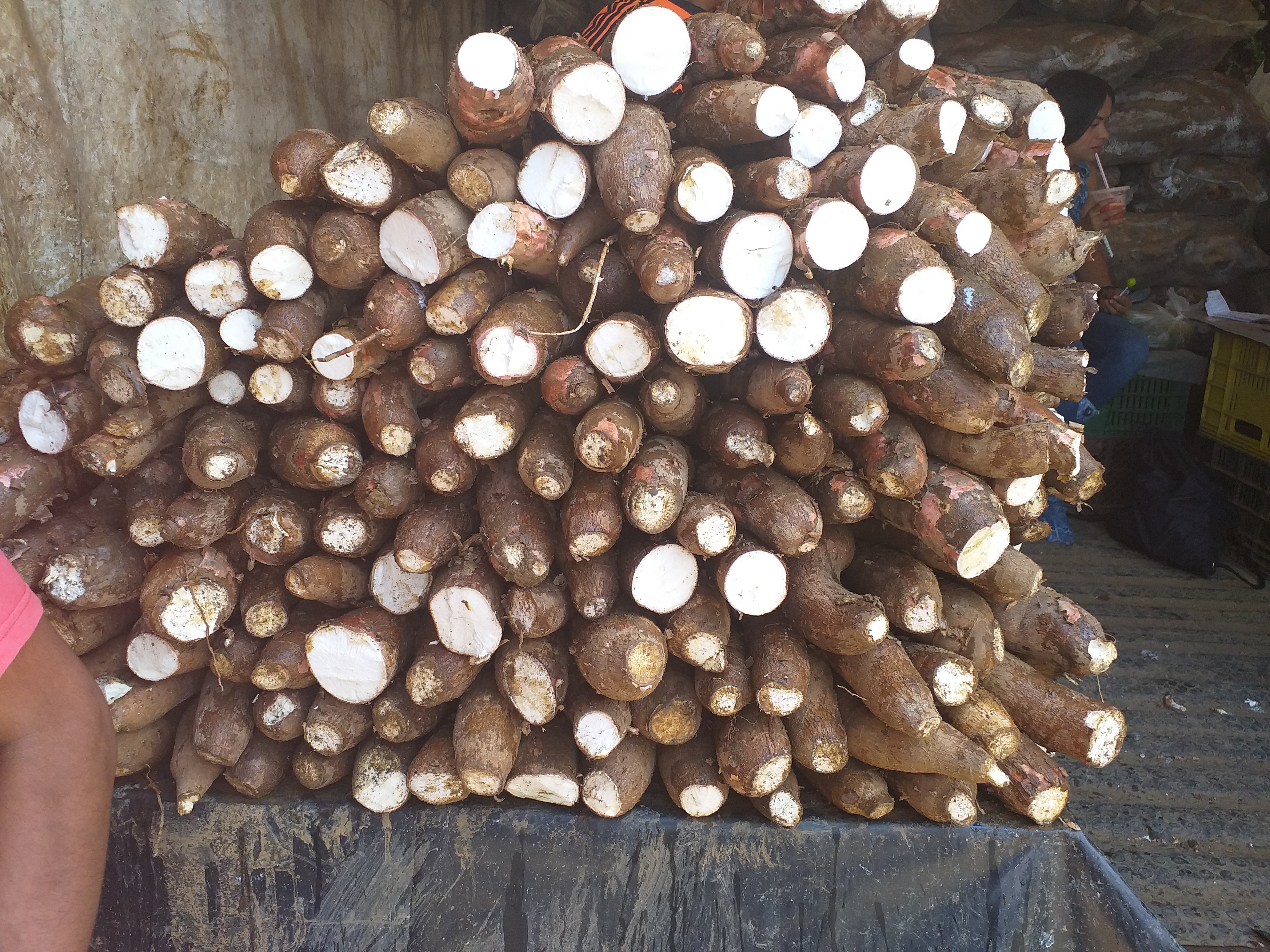 Yuca suelta