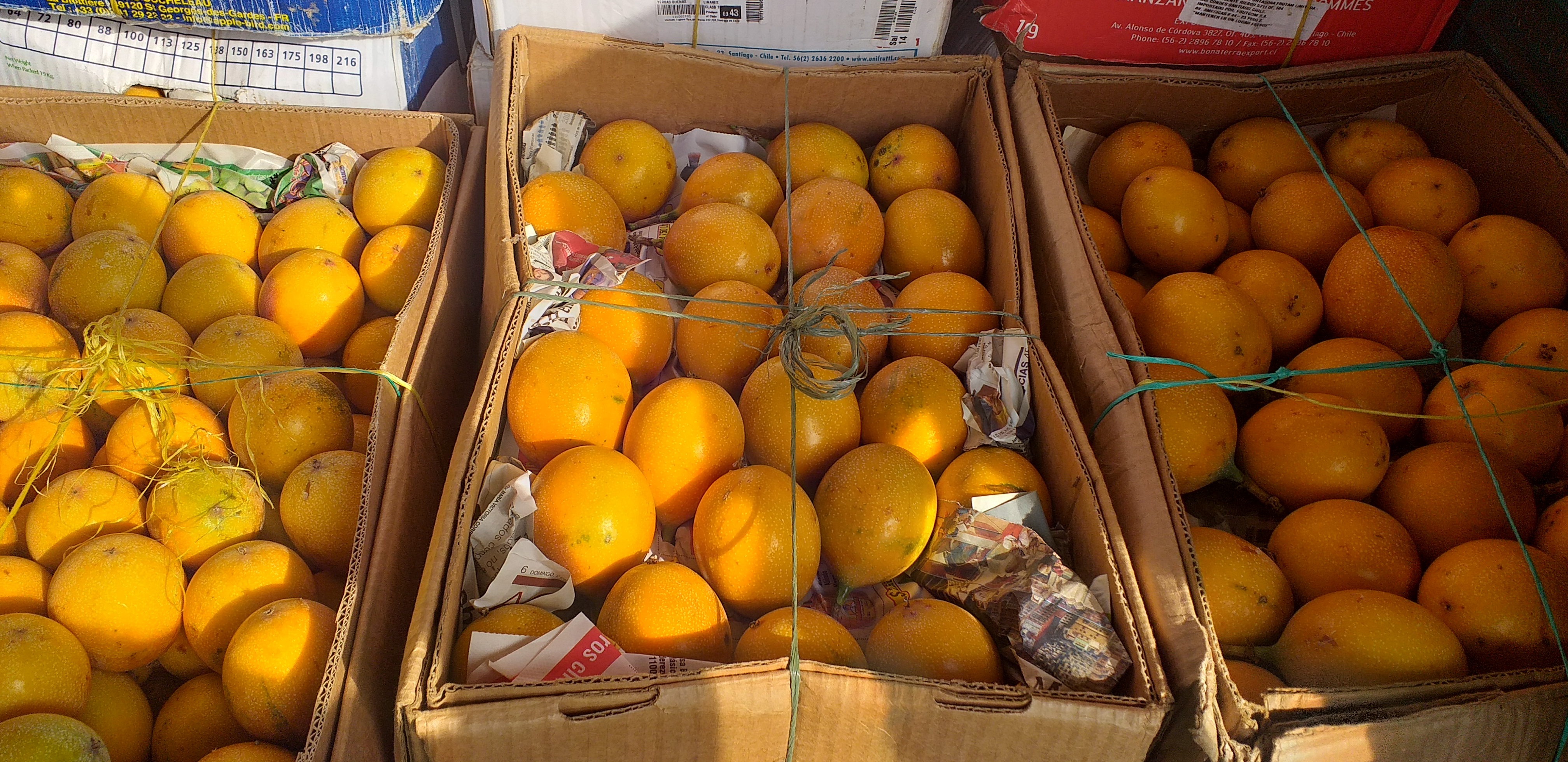 Granadilla