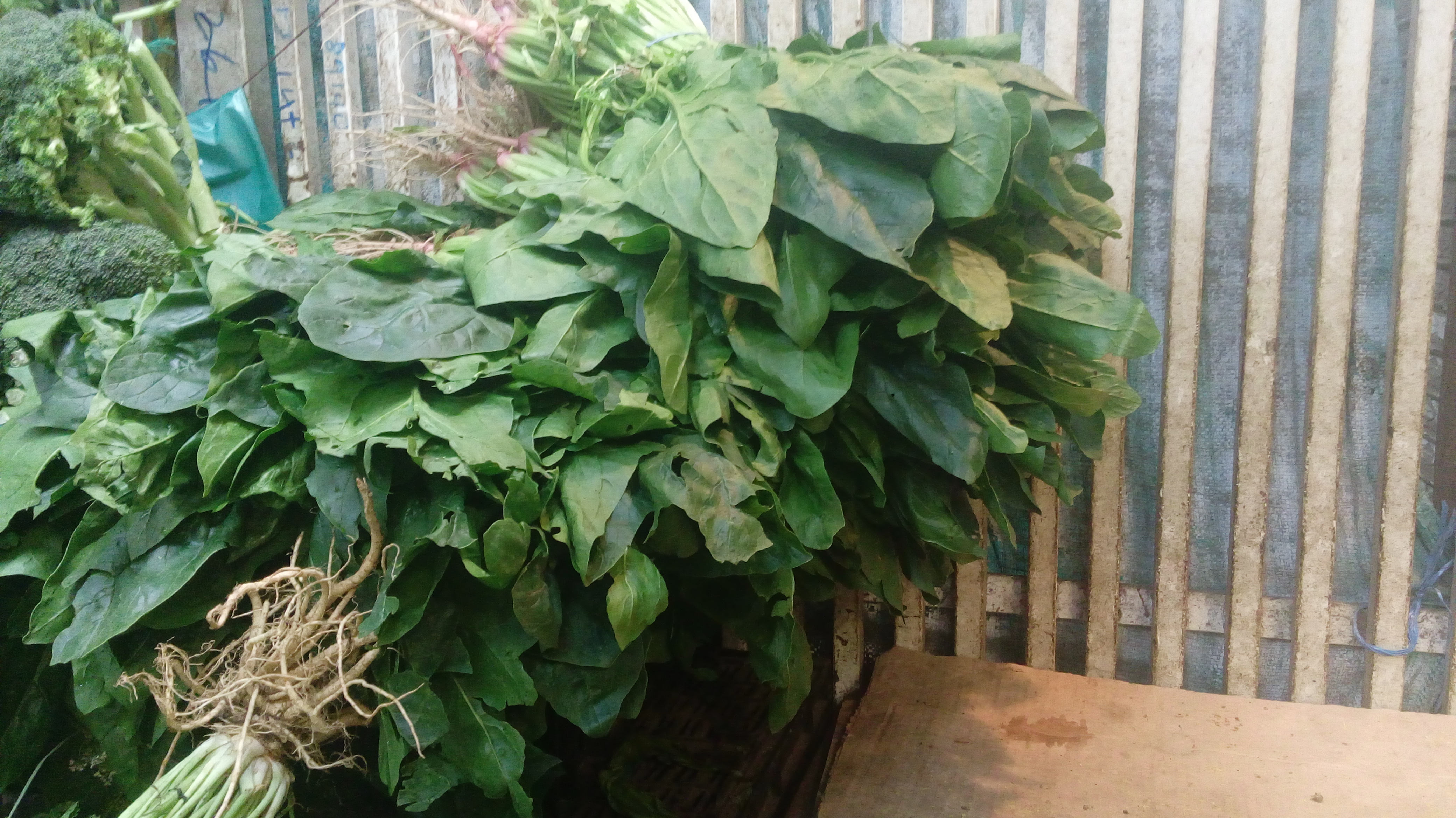 Espinacas