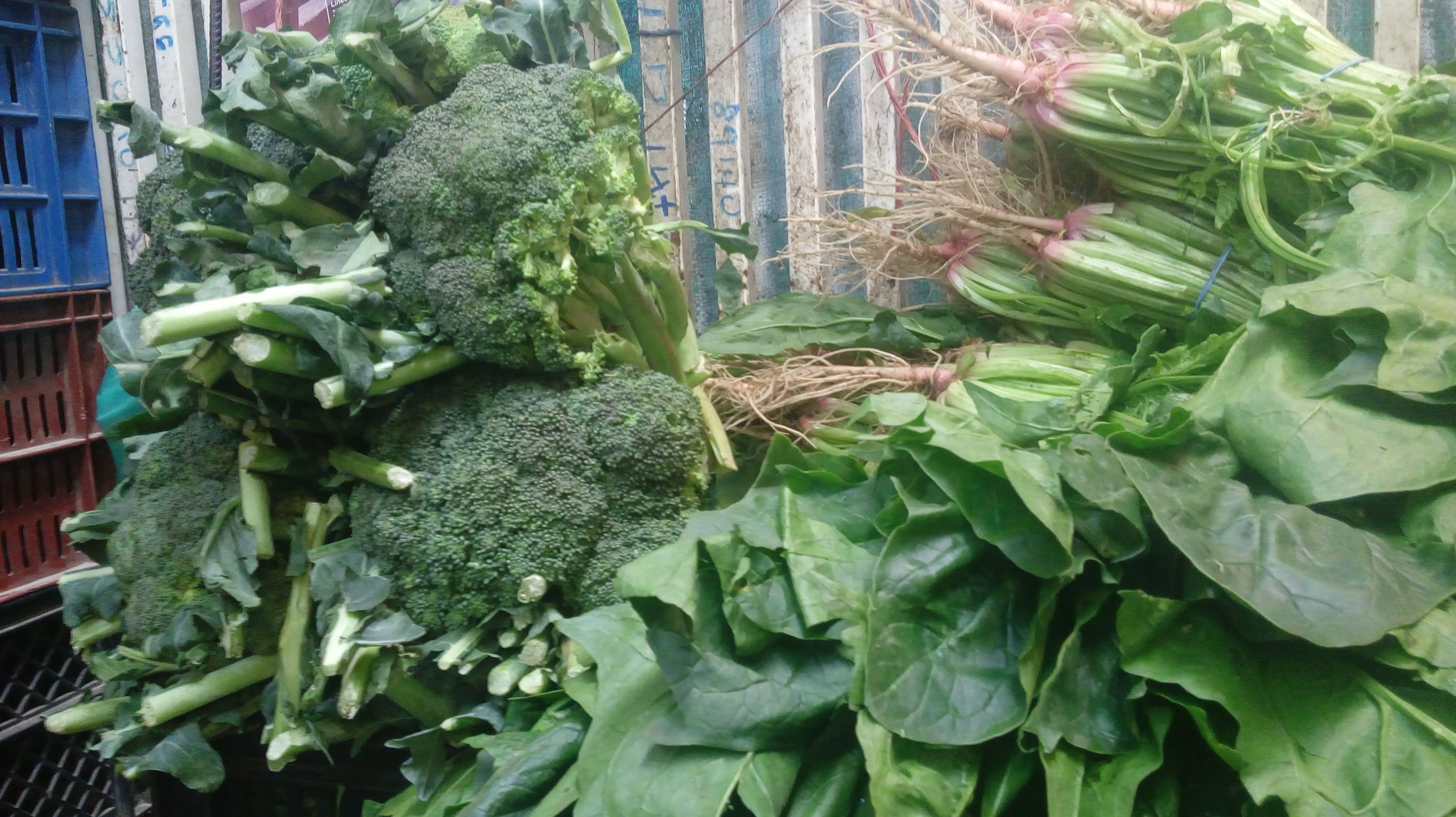 Brocoli