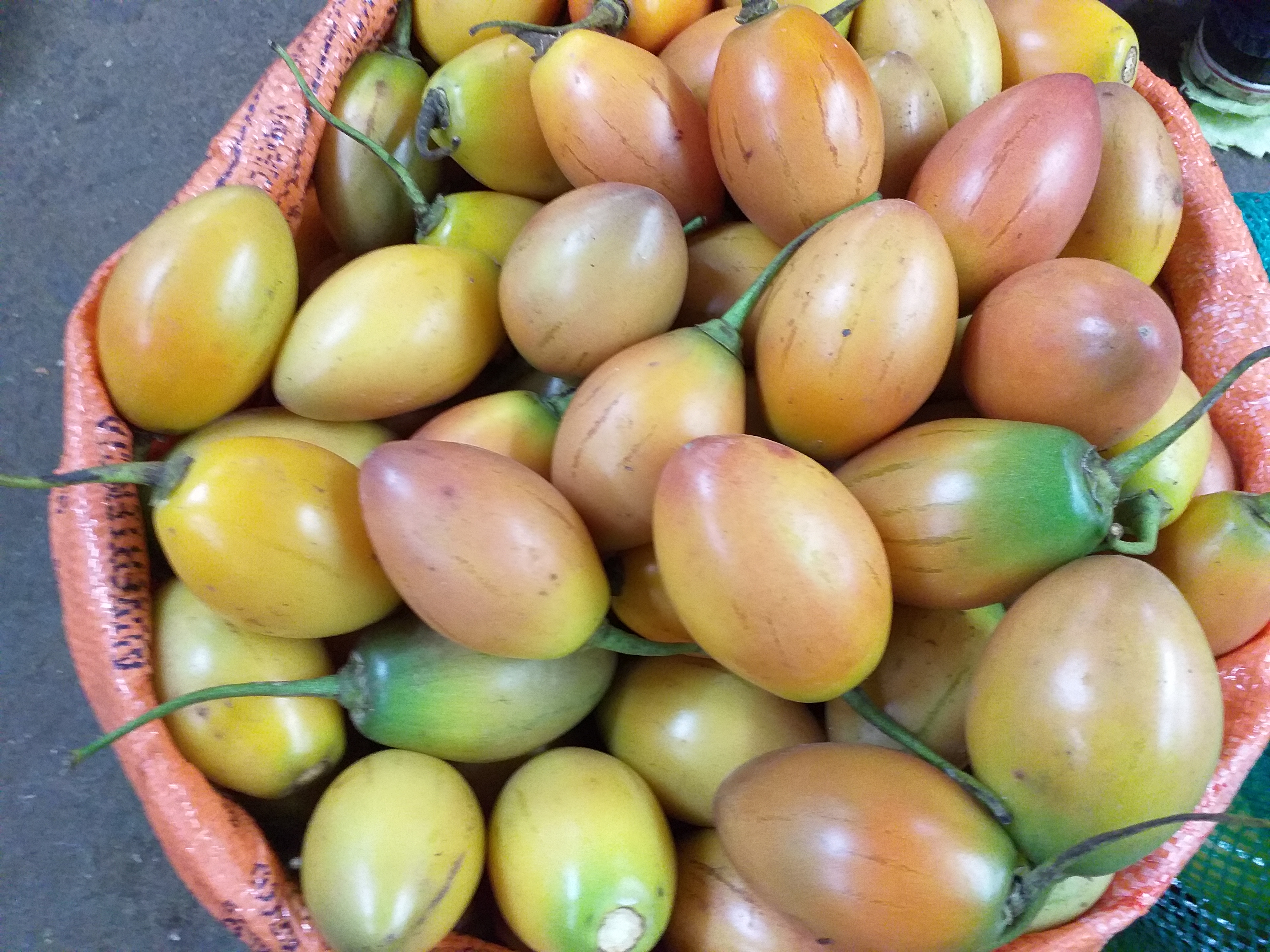 Tomate de arbol