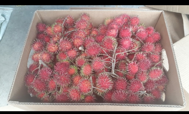 Rambutan