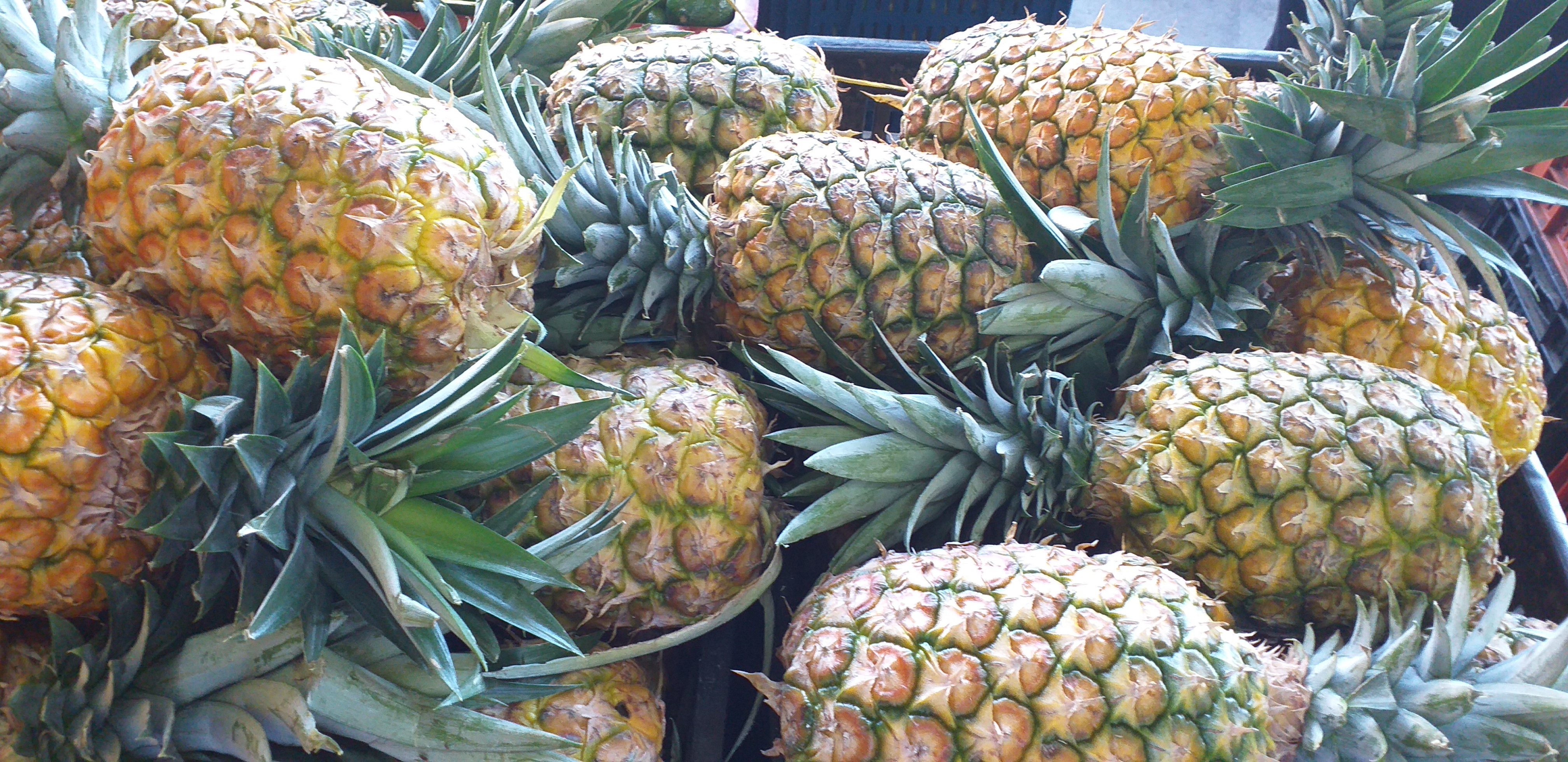 Piña oromiel