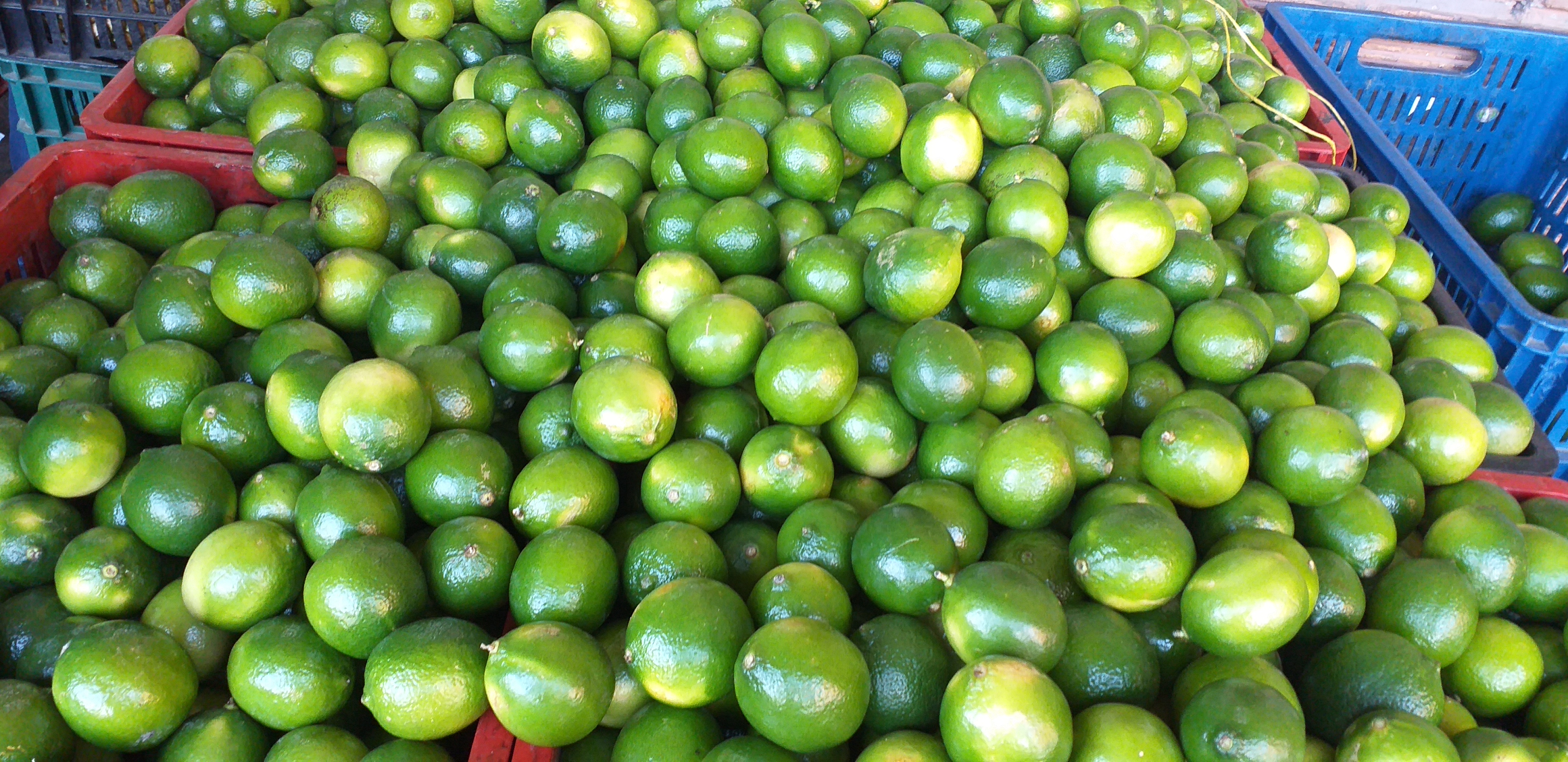 Limon tahiti