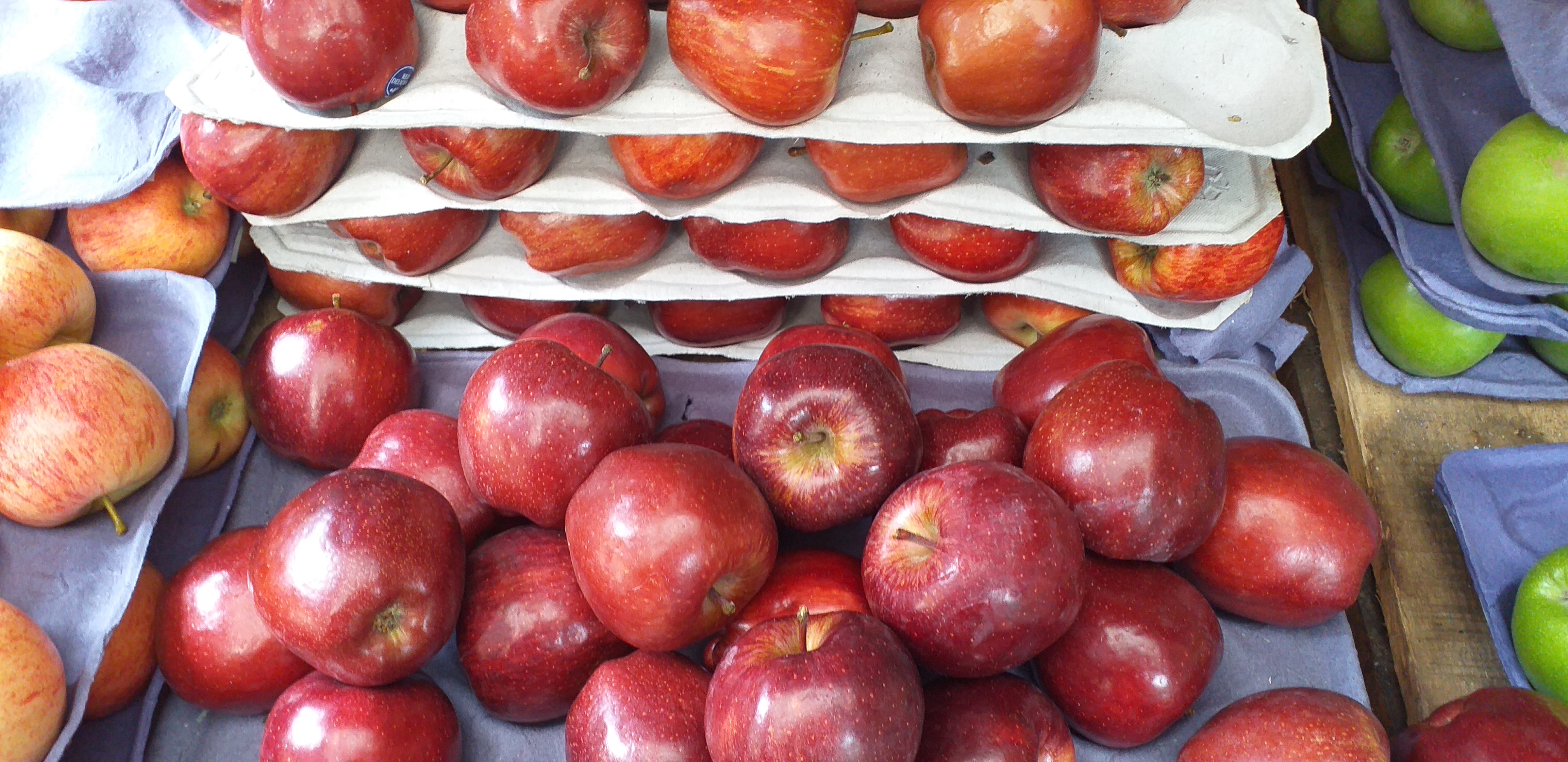 Manzana gala x 12 unid