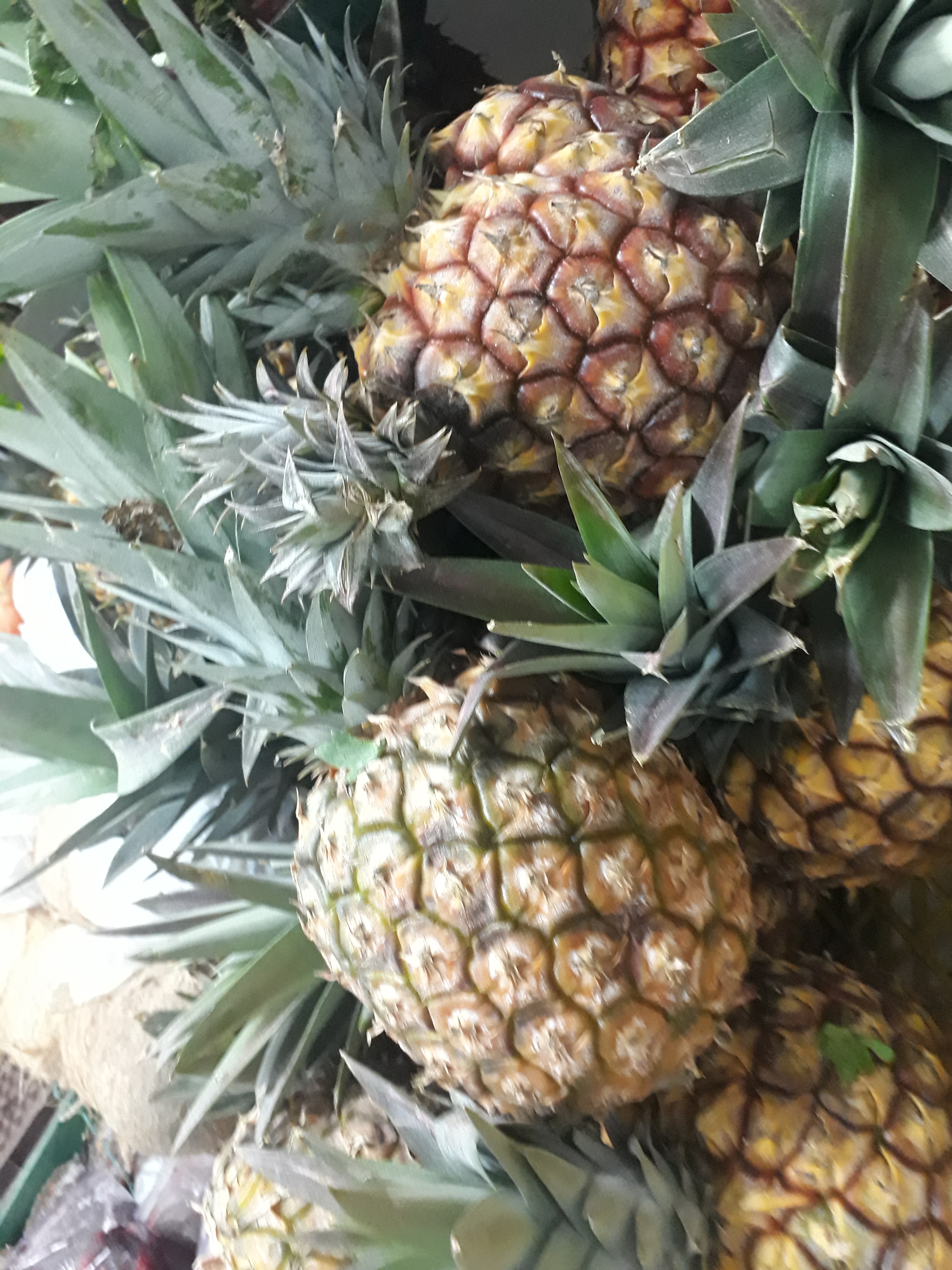 Piña