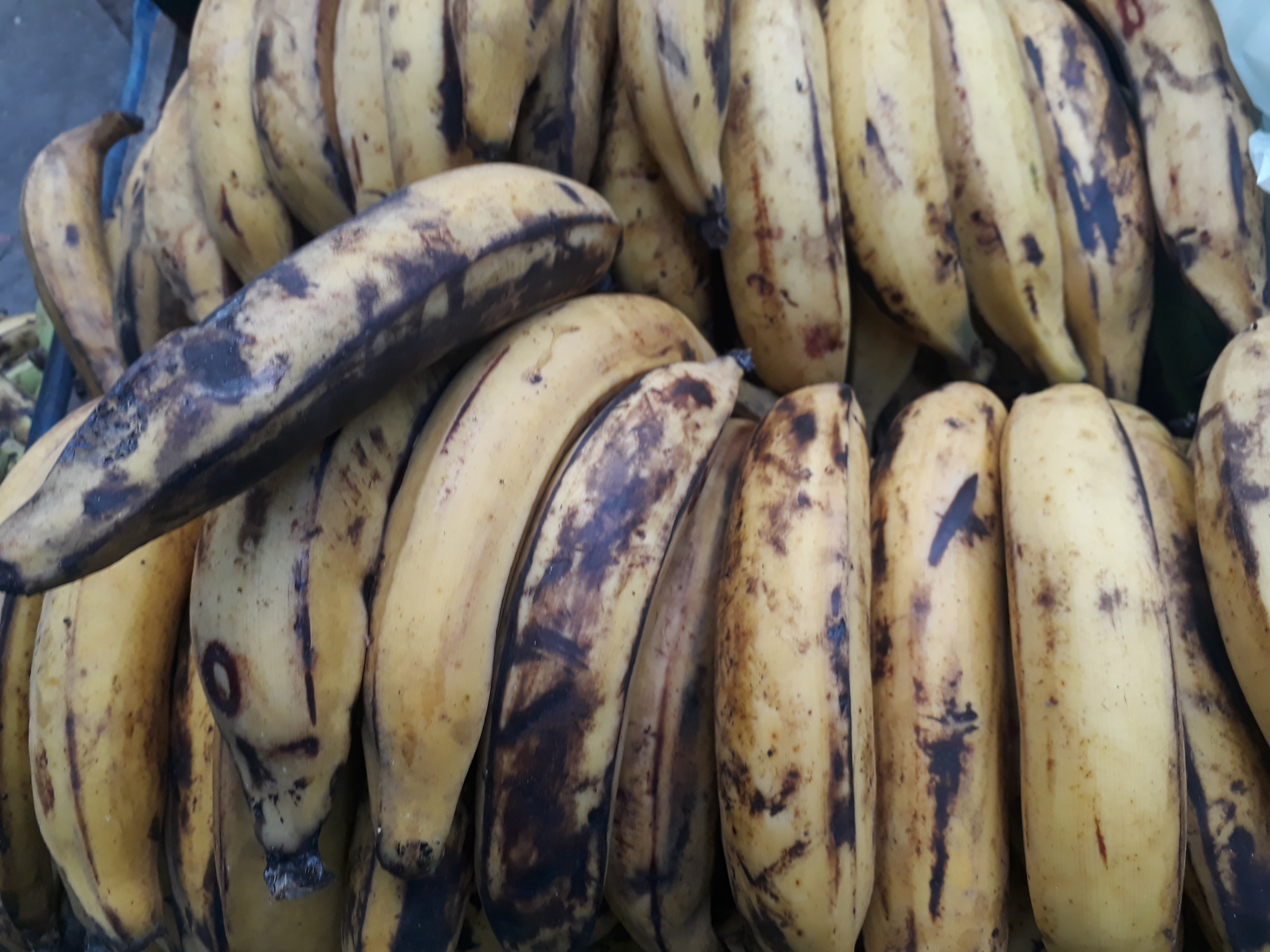 Platano amarillo de 1ra