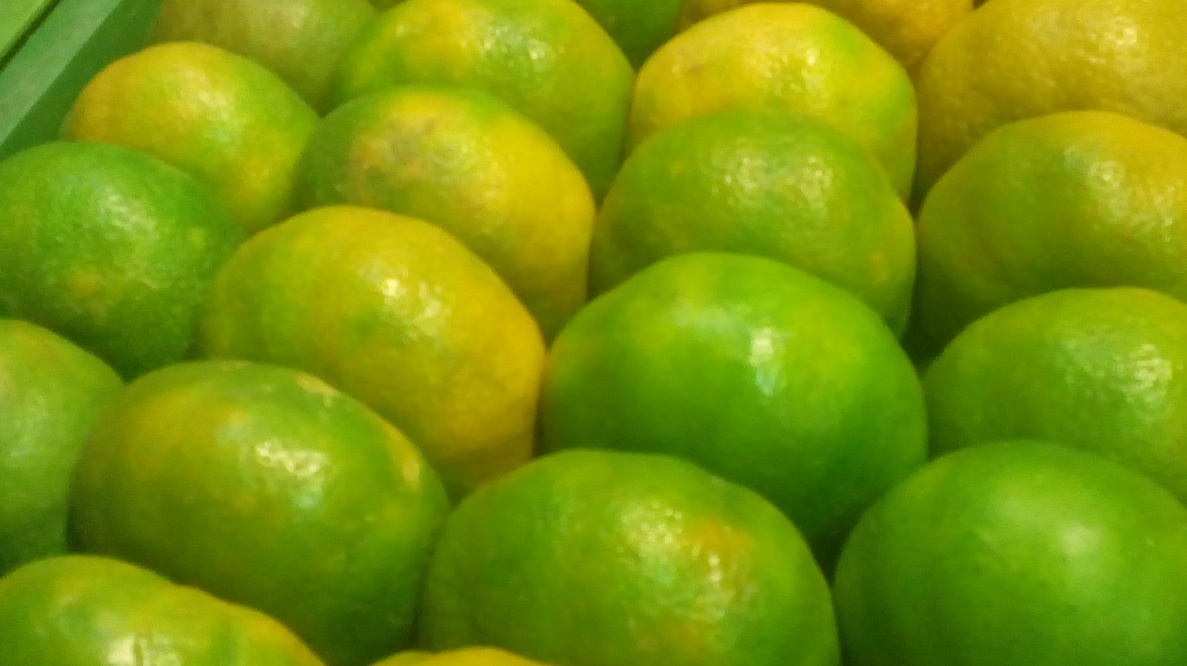 Mandarina grande