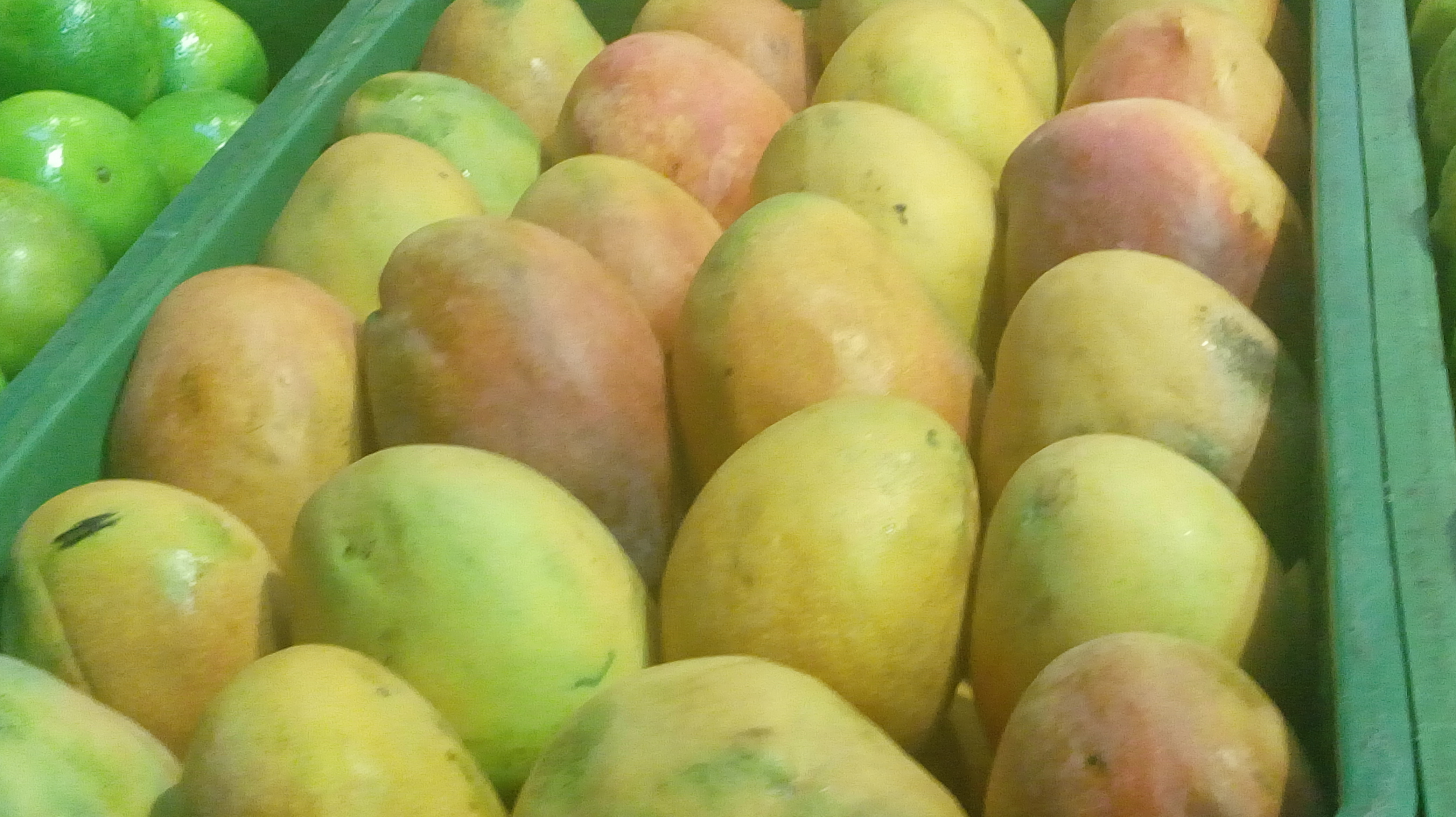 Mango