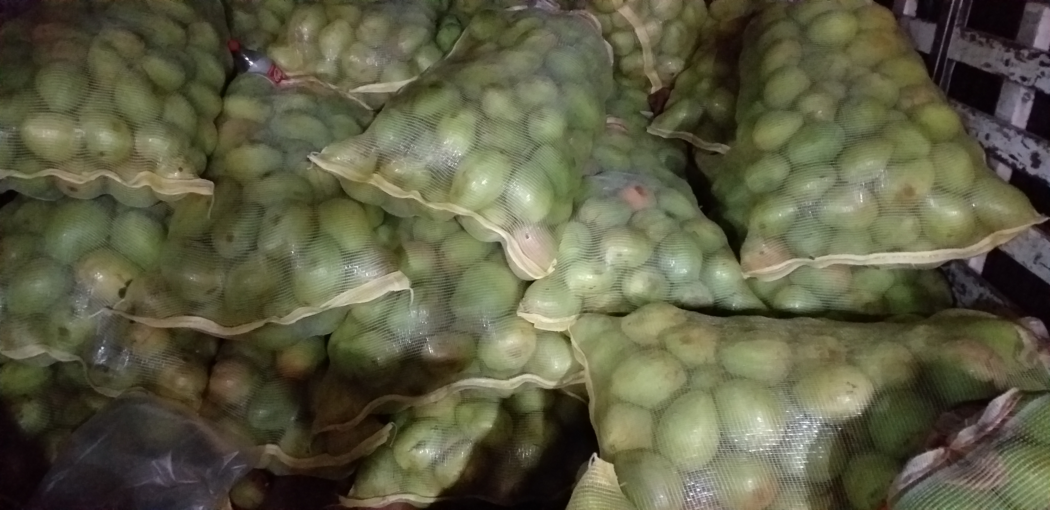 Mango filipino