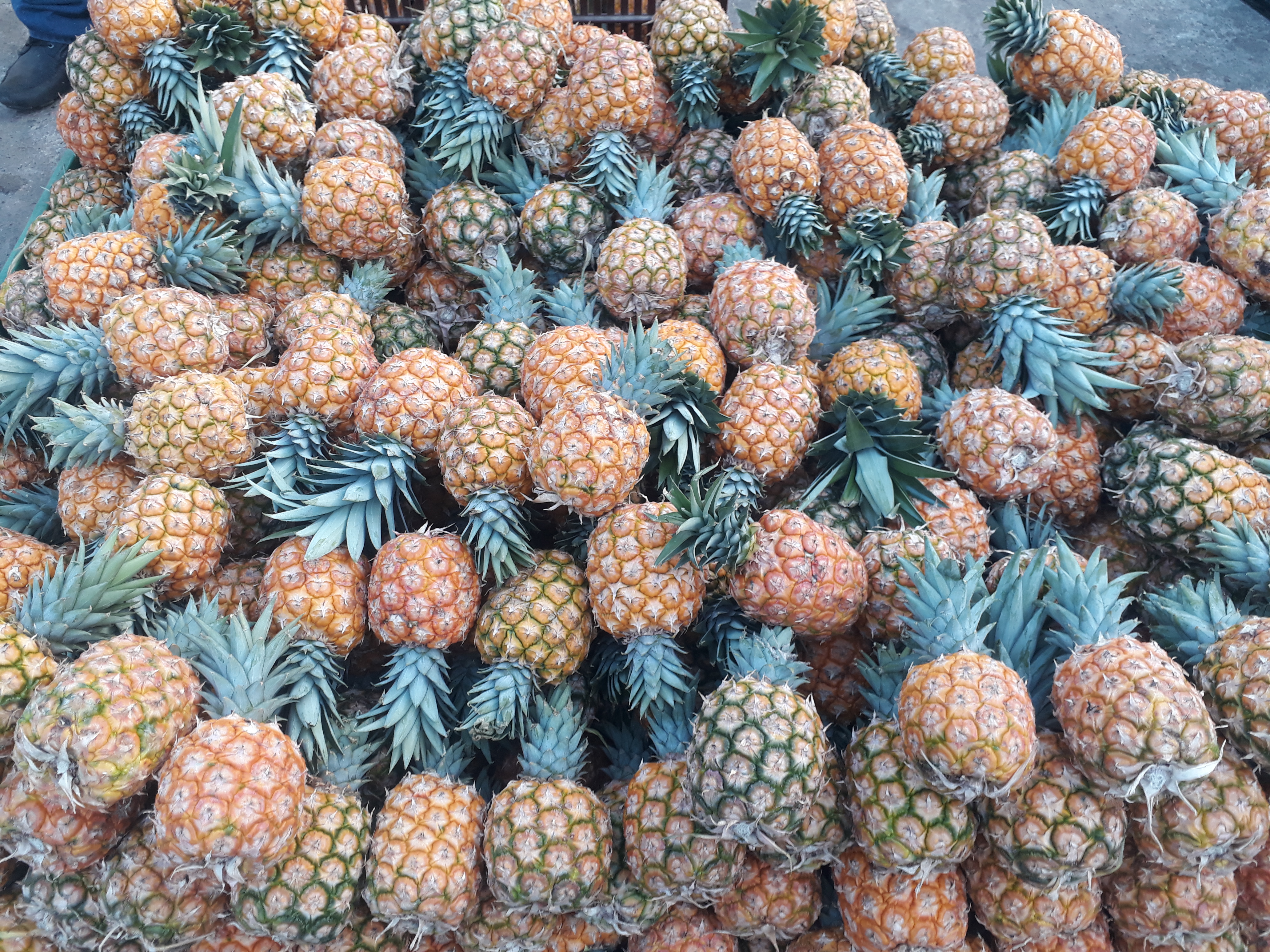 Piña